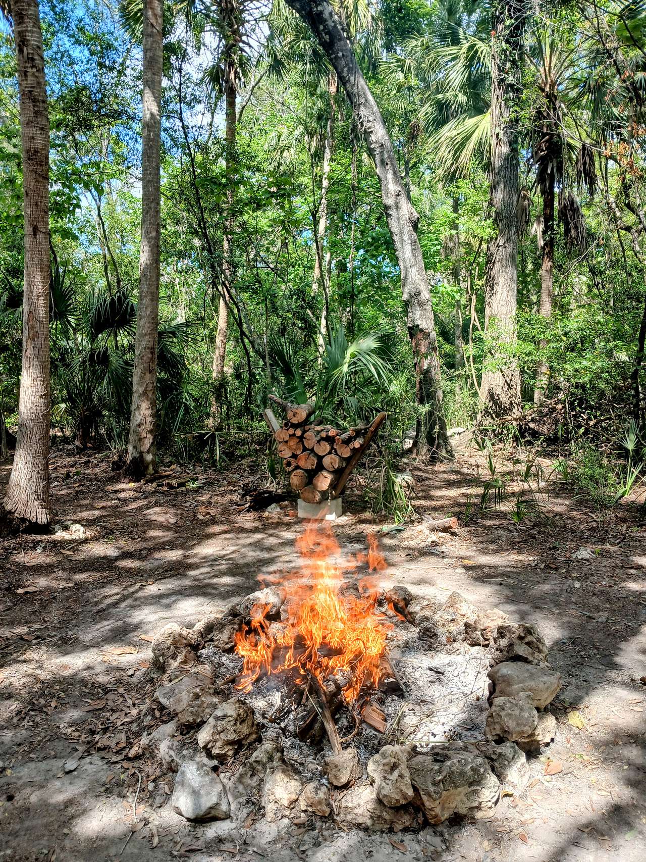 Picture of the site