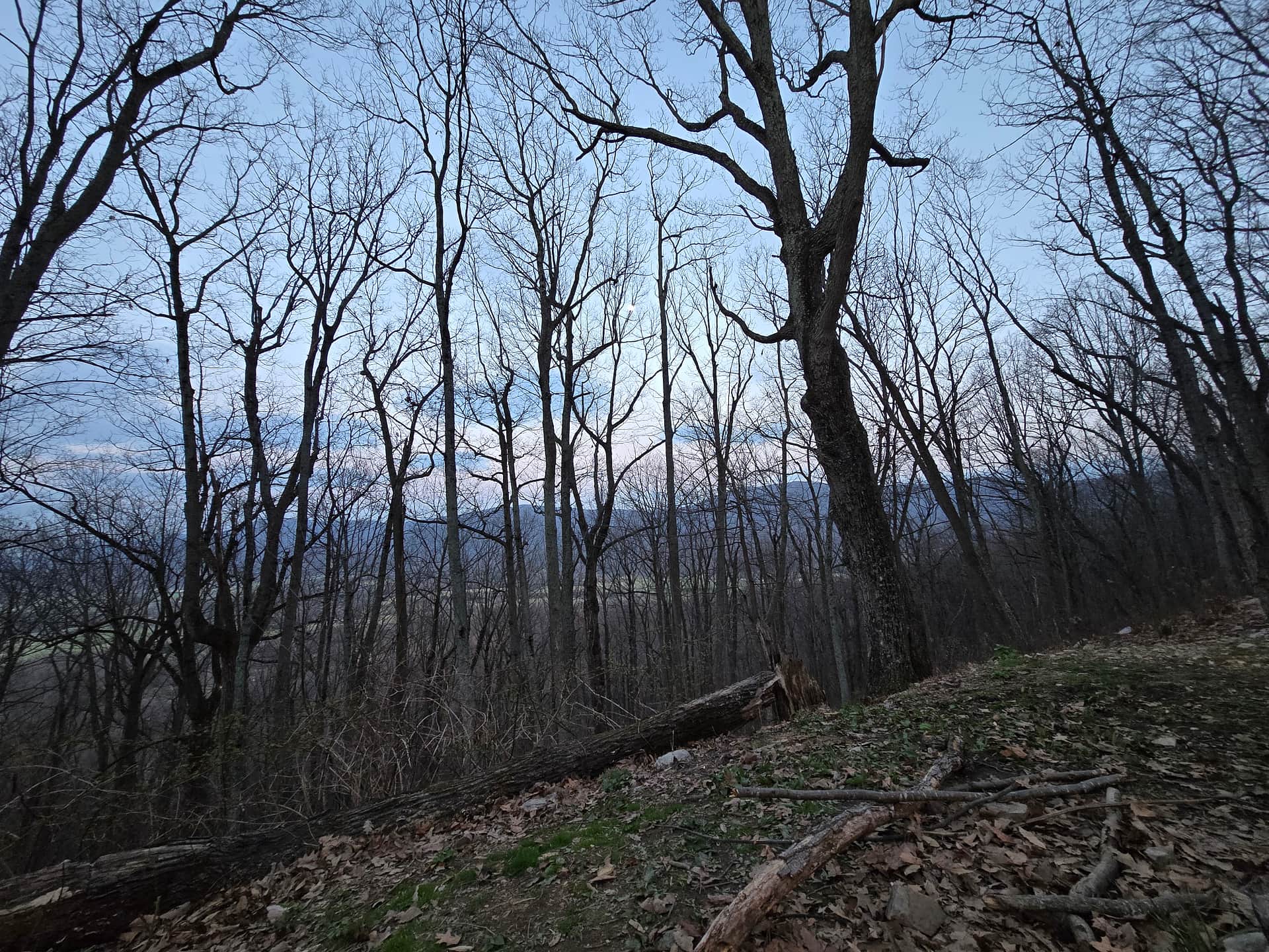 Secluded, private site
