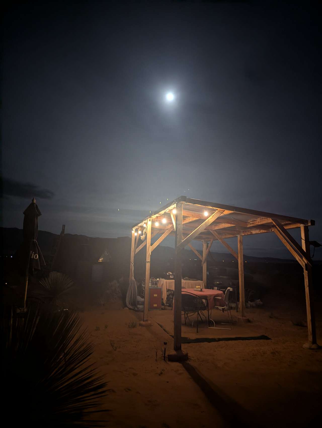 Under the light of the full moon