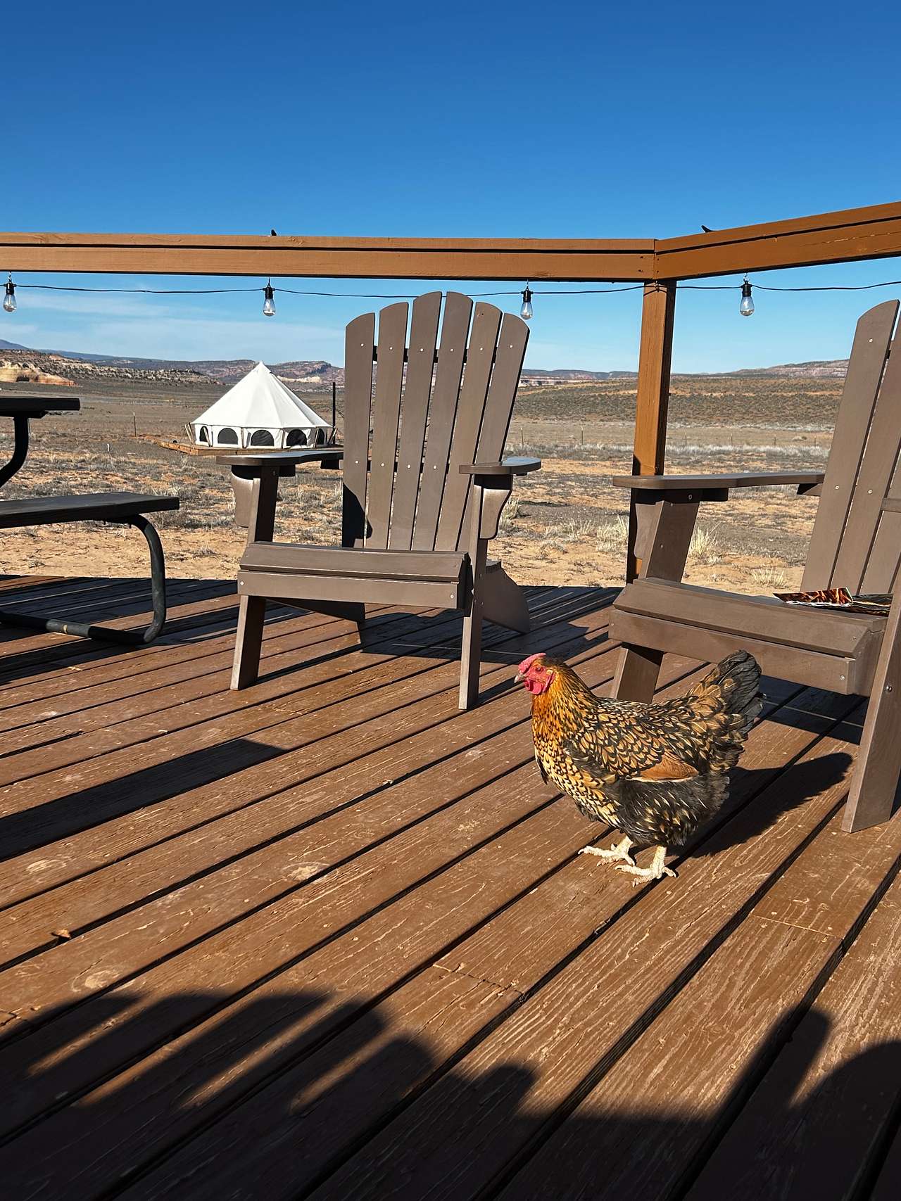 Glamping Canyonlands