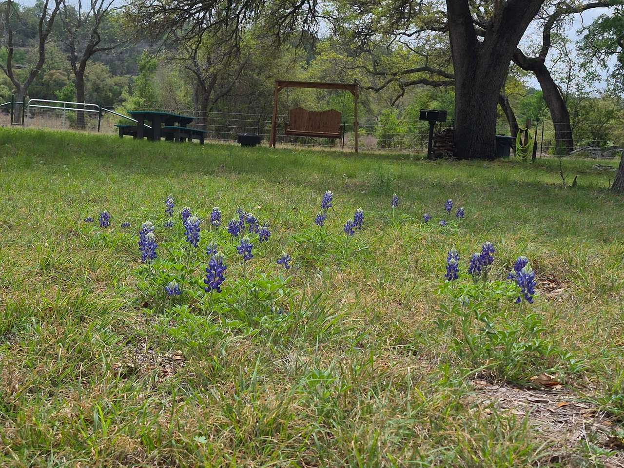 Hill Country Escape