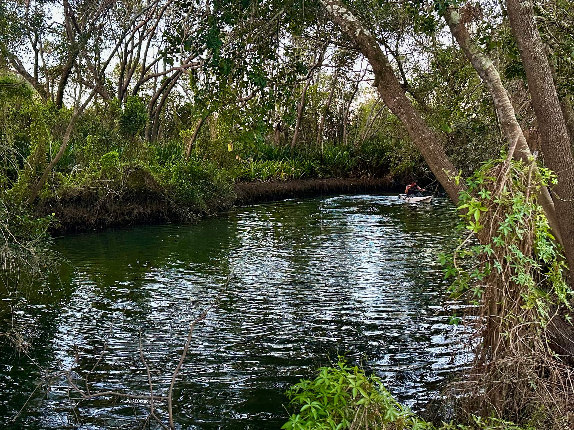 River Views - Ashby Island Paradise
