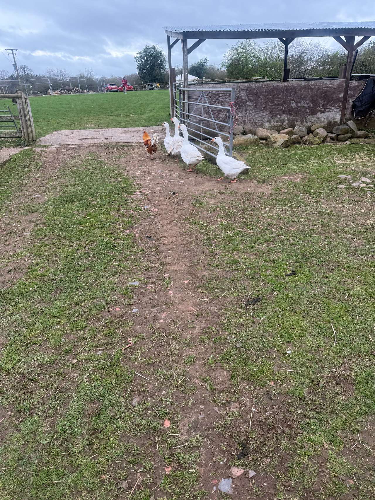 Glamping West Midlands