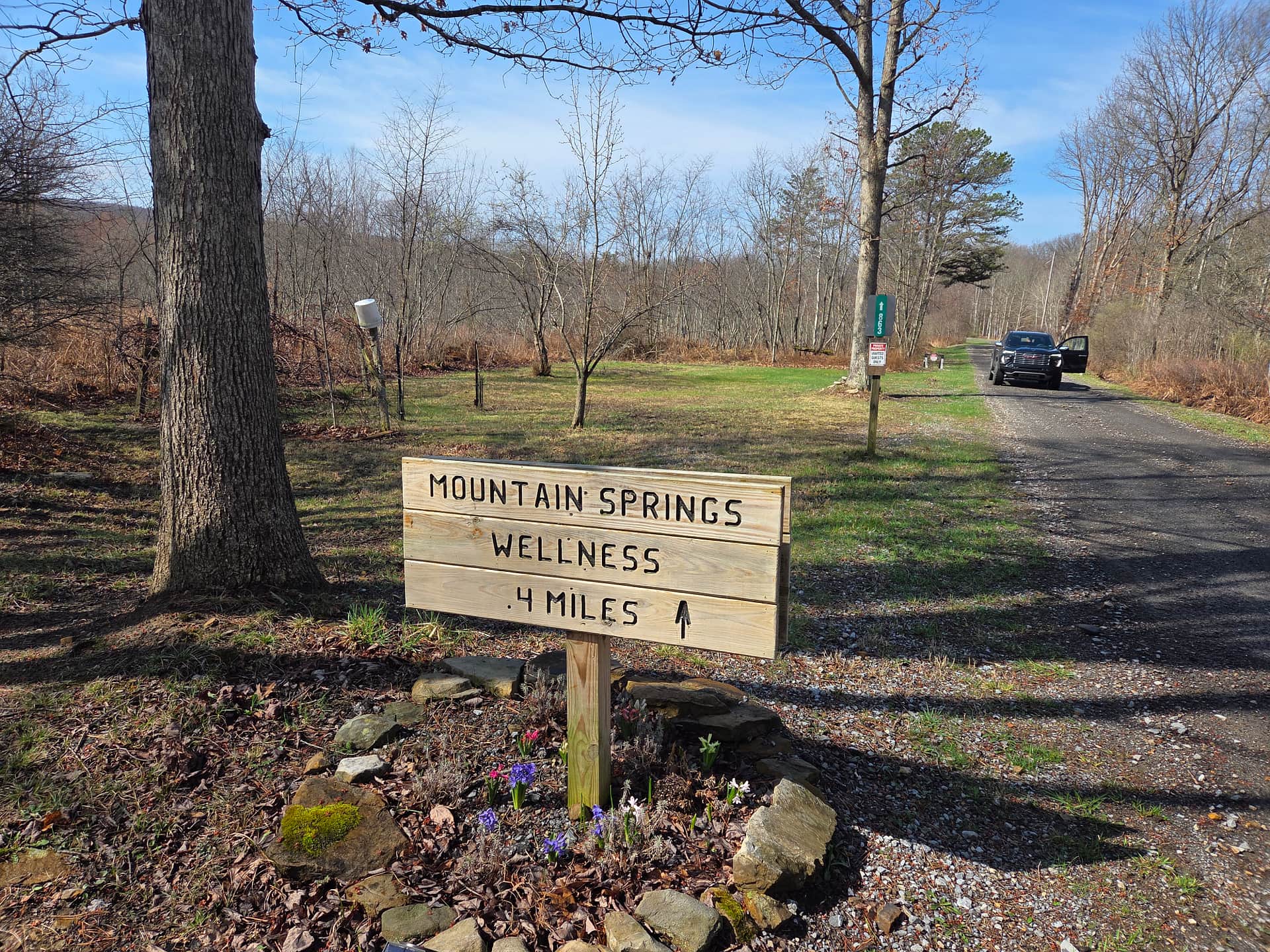 Mountain Springs Wellness