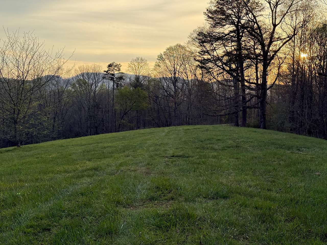 Walnut Springs Estate: Off-grid