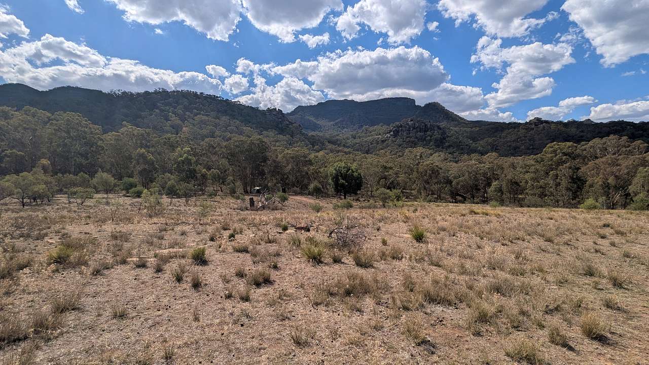 Mt Terrace