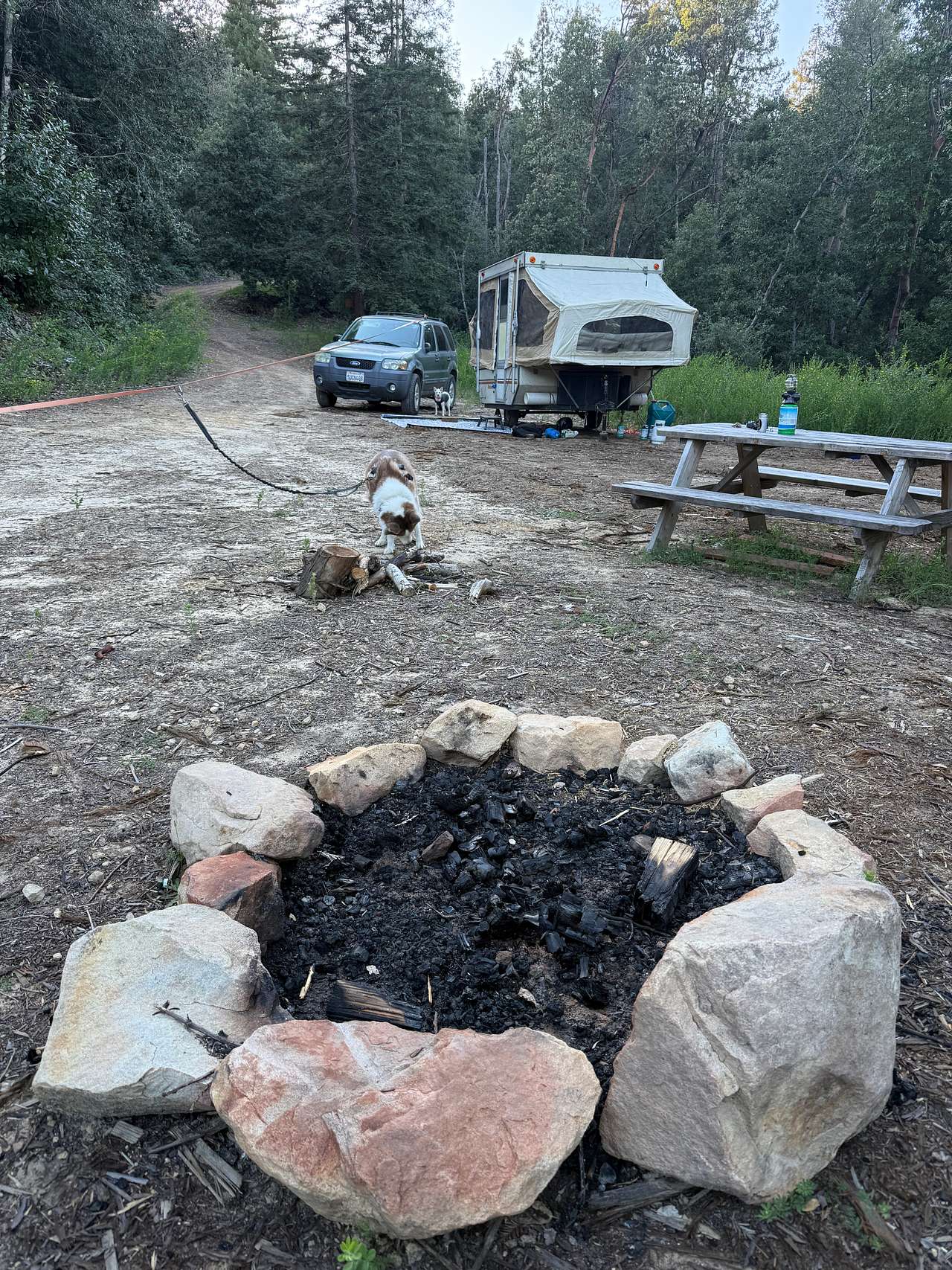 Picture of the site