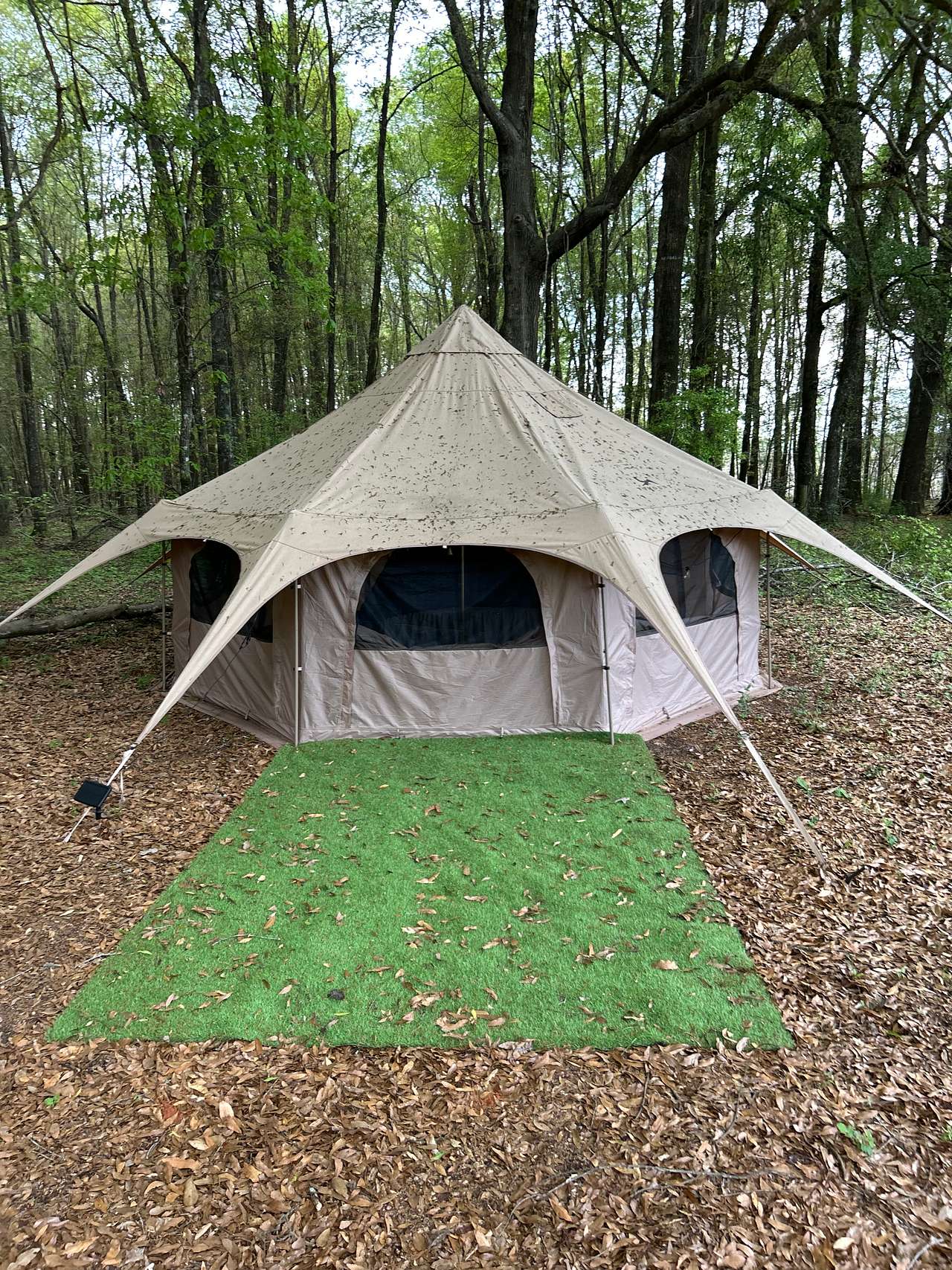 The Pecan Orchard CampGrounds
