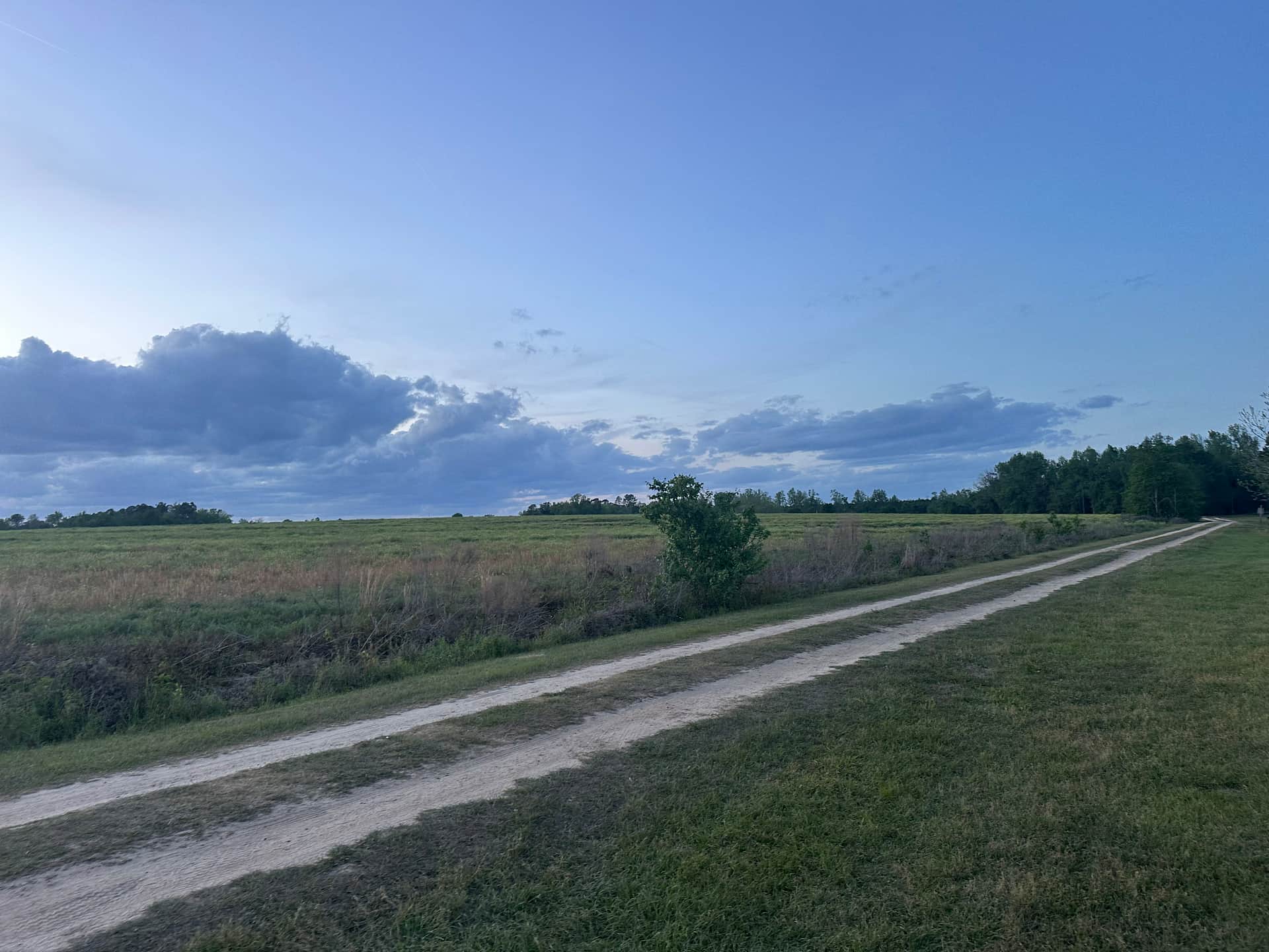 Cbo & Dana's Farm