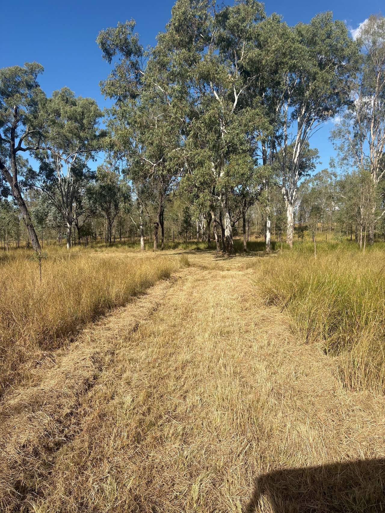 Entry to site