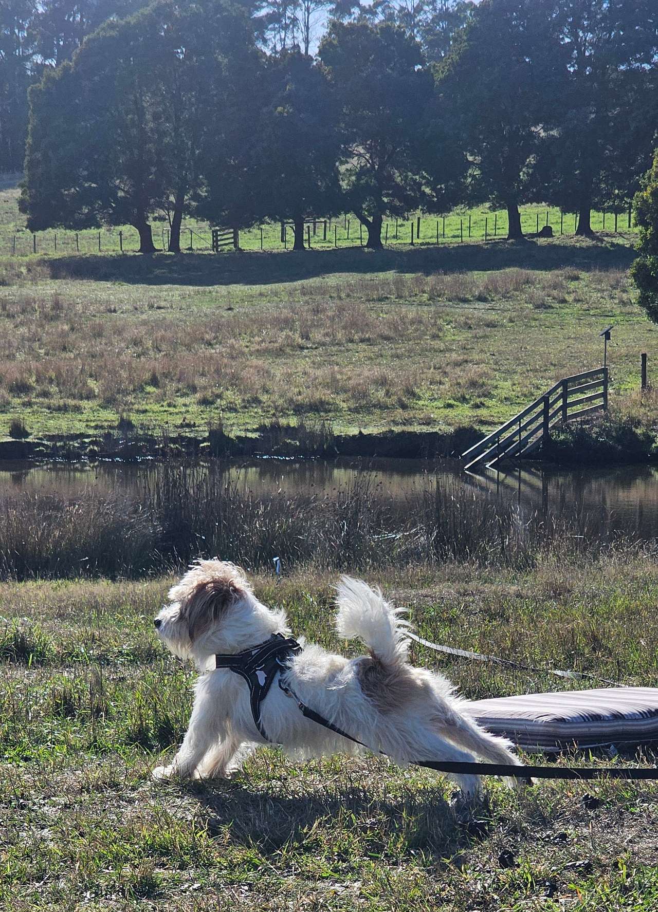 Morning yoga by the dam