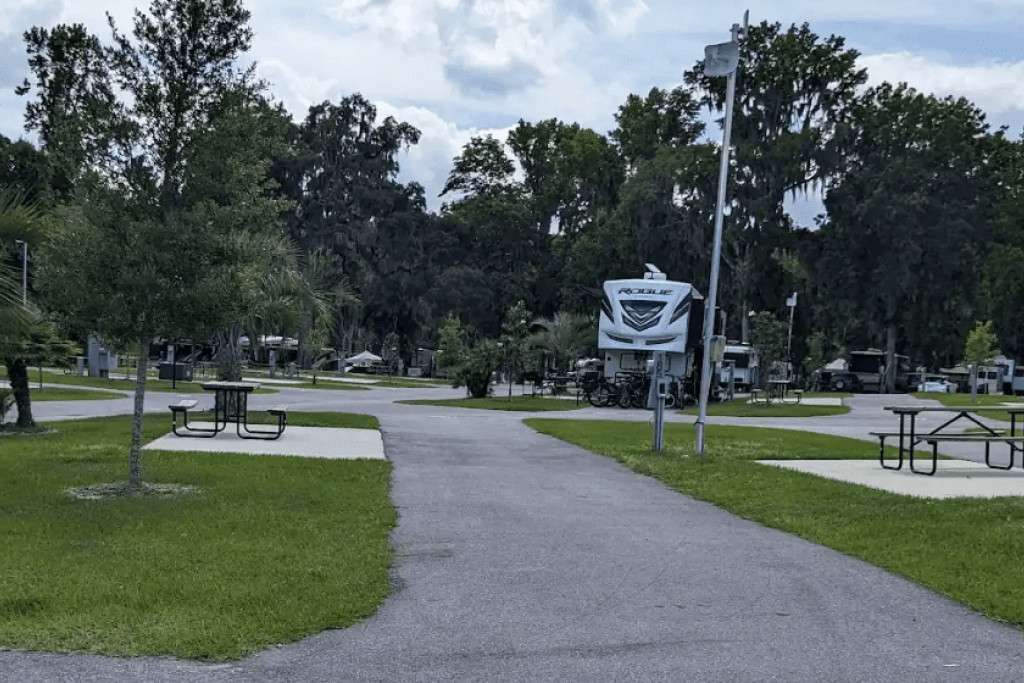 Picture of the site