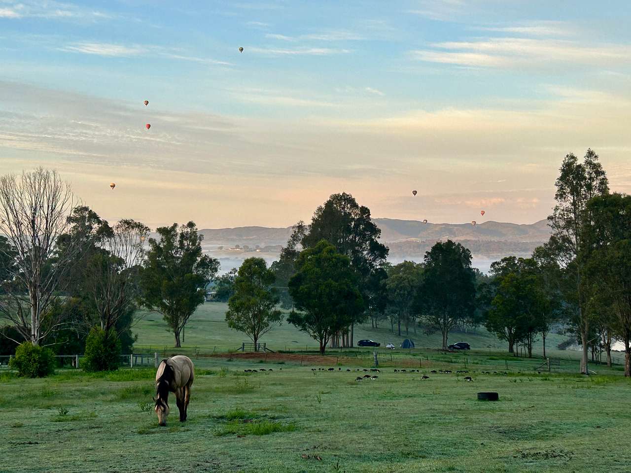 Lovedale Farm Stay  & Horseriding