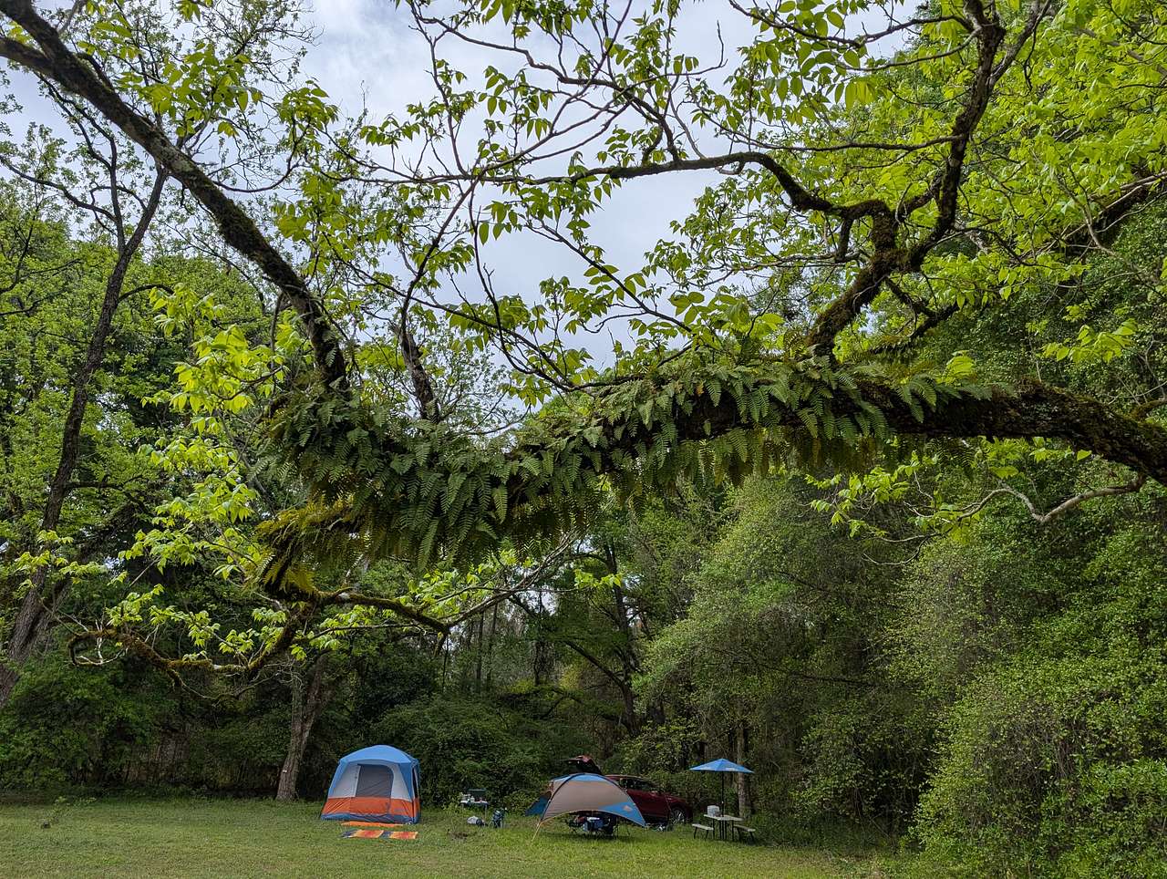 The Pecan Orchard CampGrounds