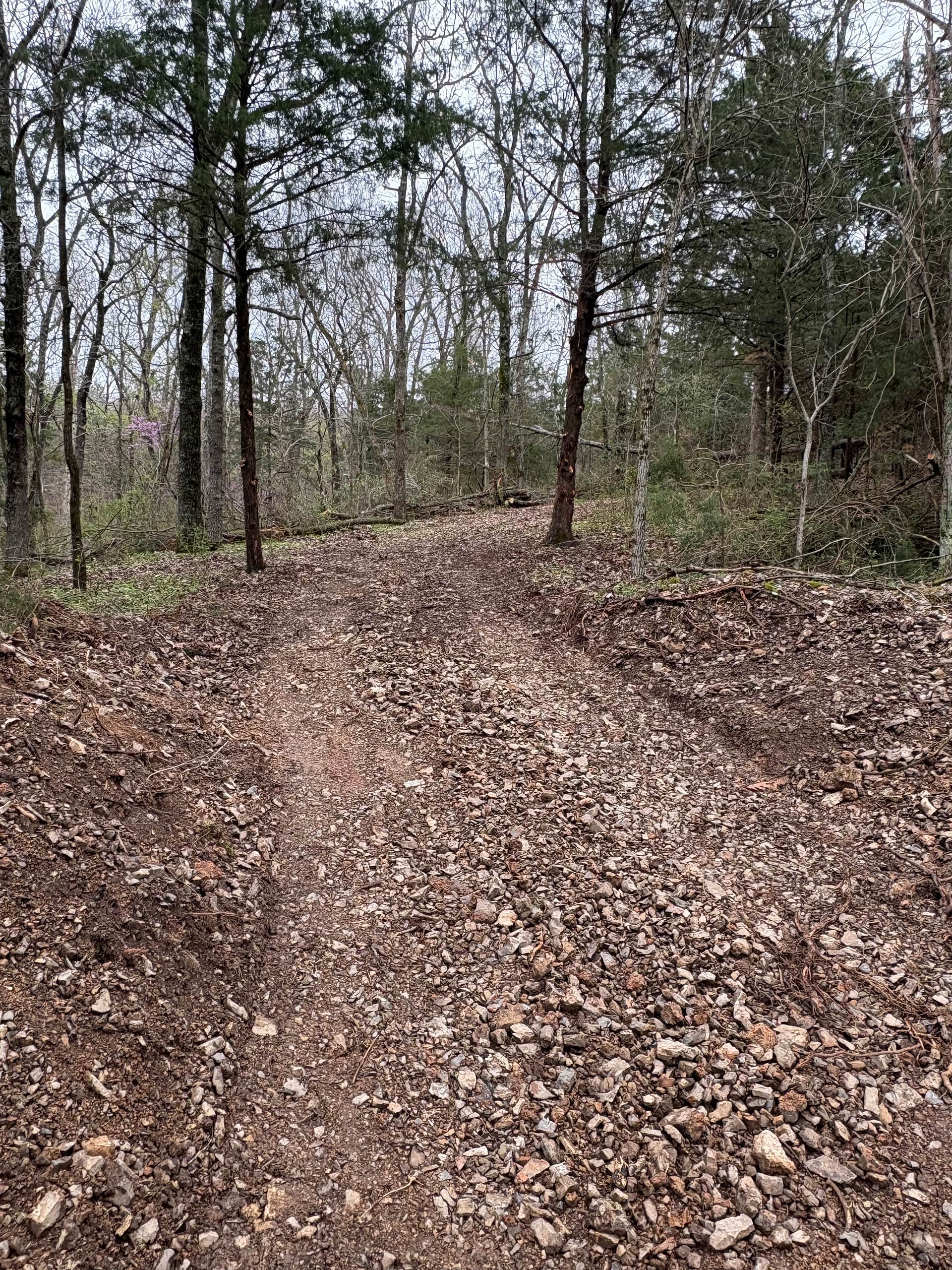 Trail