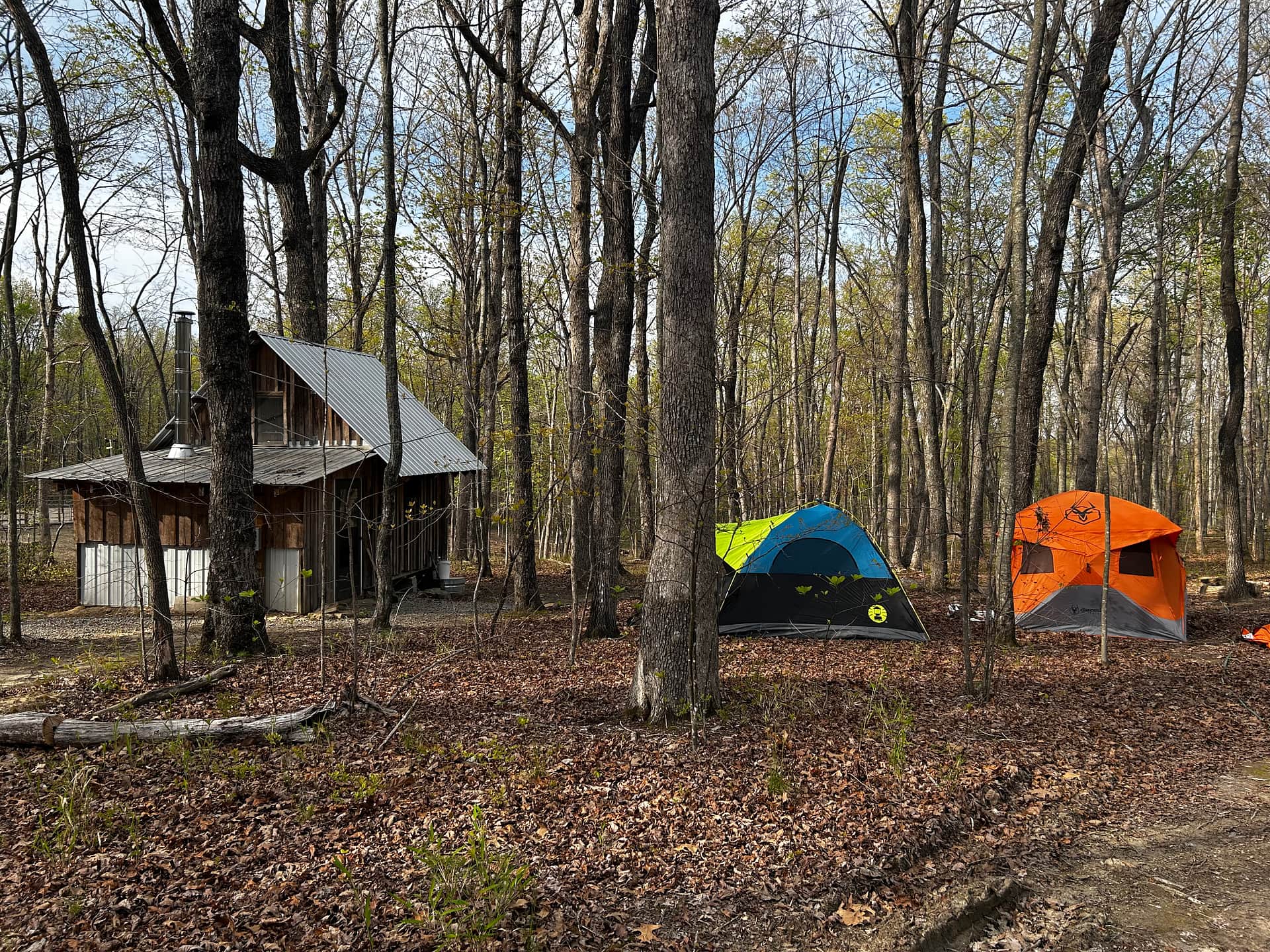 Cabin and Barn on 20 Peaceful Acres
