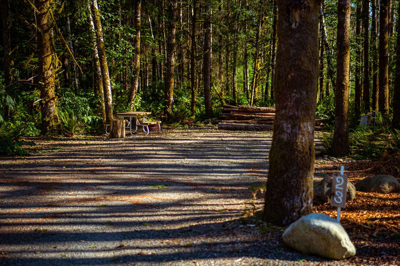 Site 23 is one of our largest full hook-up RV sites, nestled in a beautiful green Pacific Northwest setting. With spacious accommodations and a peaceful, scenic atmosphere, it’s an ideal choice for guests looking to enjoy both comfort and the natural beauty of the outdoors.



Updated 2025