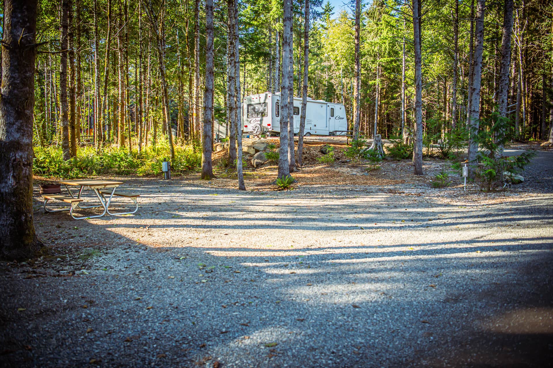 Site 18 is a beautiful partial hookup RV site tucked into the heart of the Pacific Northwest, surrounded by lush greenery and towering trees. Located right on the corner of a left-hand turn, this site offers a unique, easy-to-find spot with a peaceful wooded feel. Guests love the natural beauty, shade, and cozy setting that make Site 18 a relaxing place to settle in and enjoy the campground.


Updated 2025