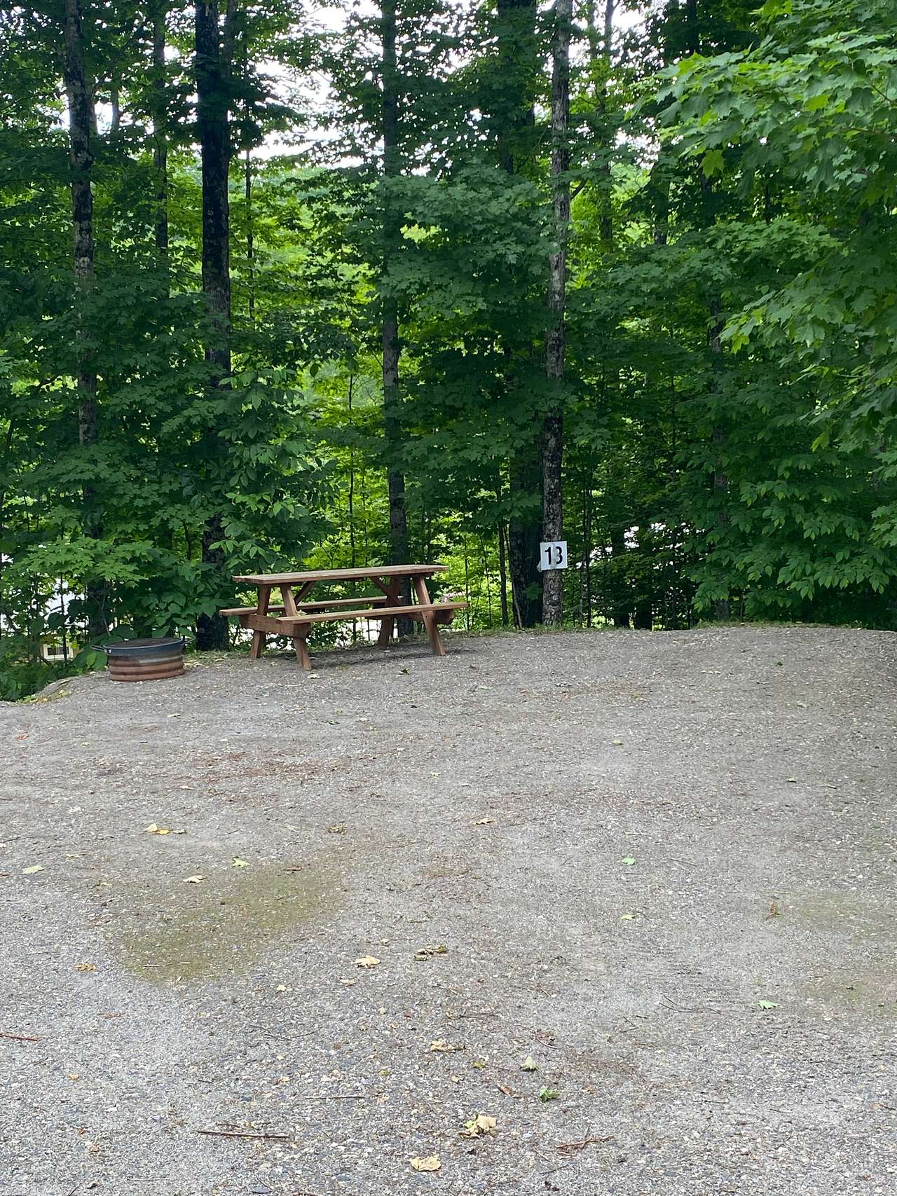 Picture of the site