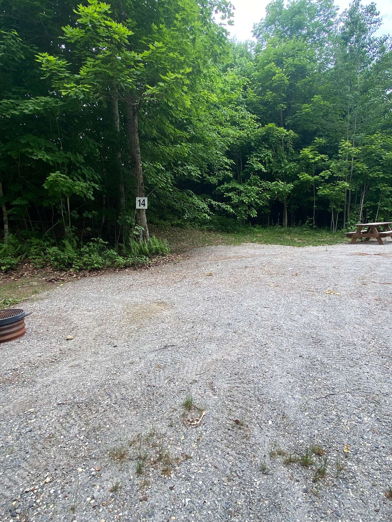Picture of the site
