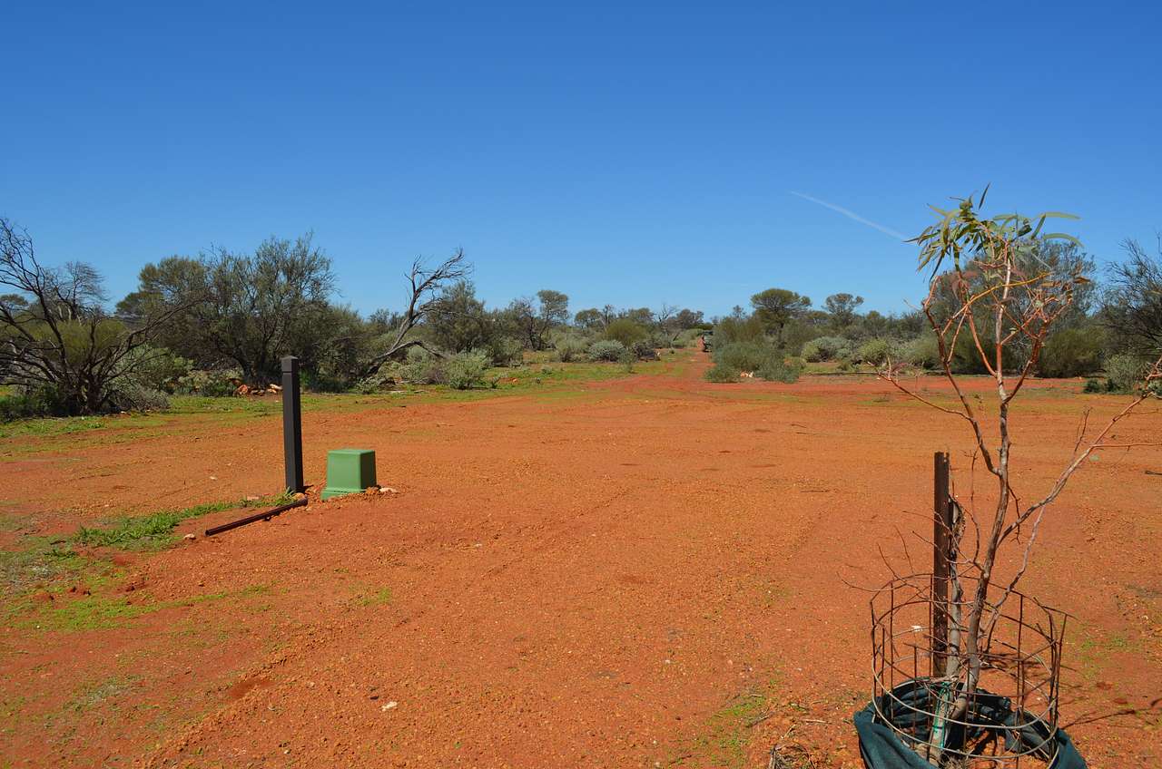 Picture of the site