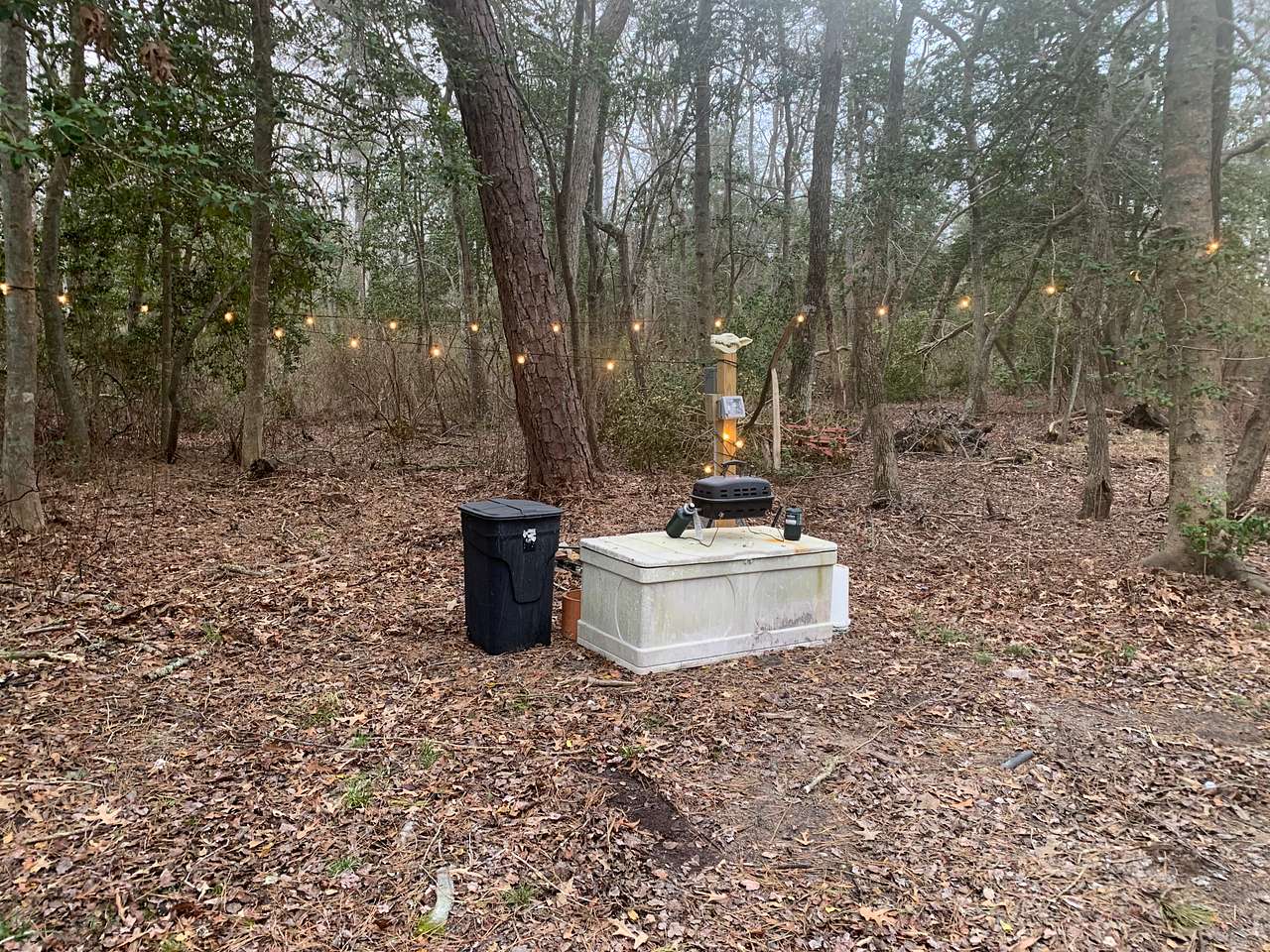 Picture of the site