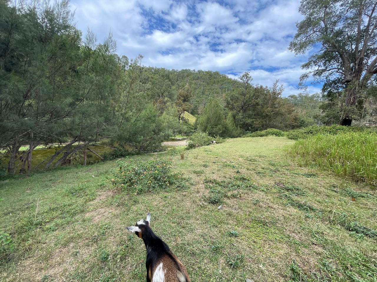 Applewood Farm