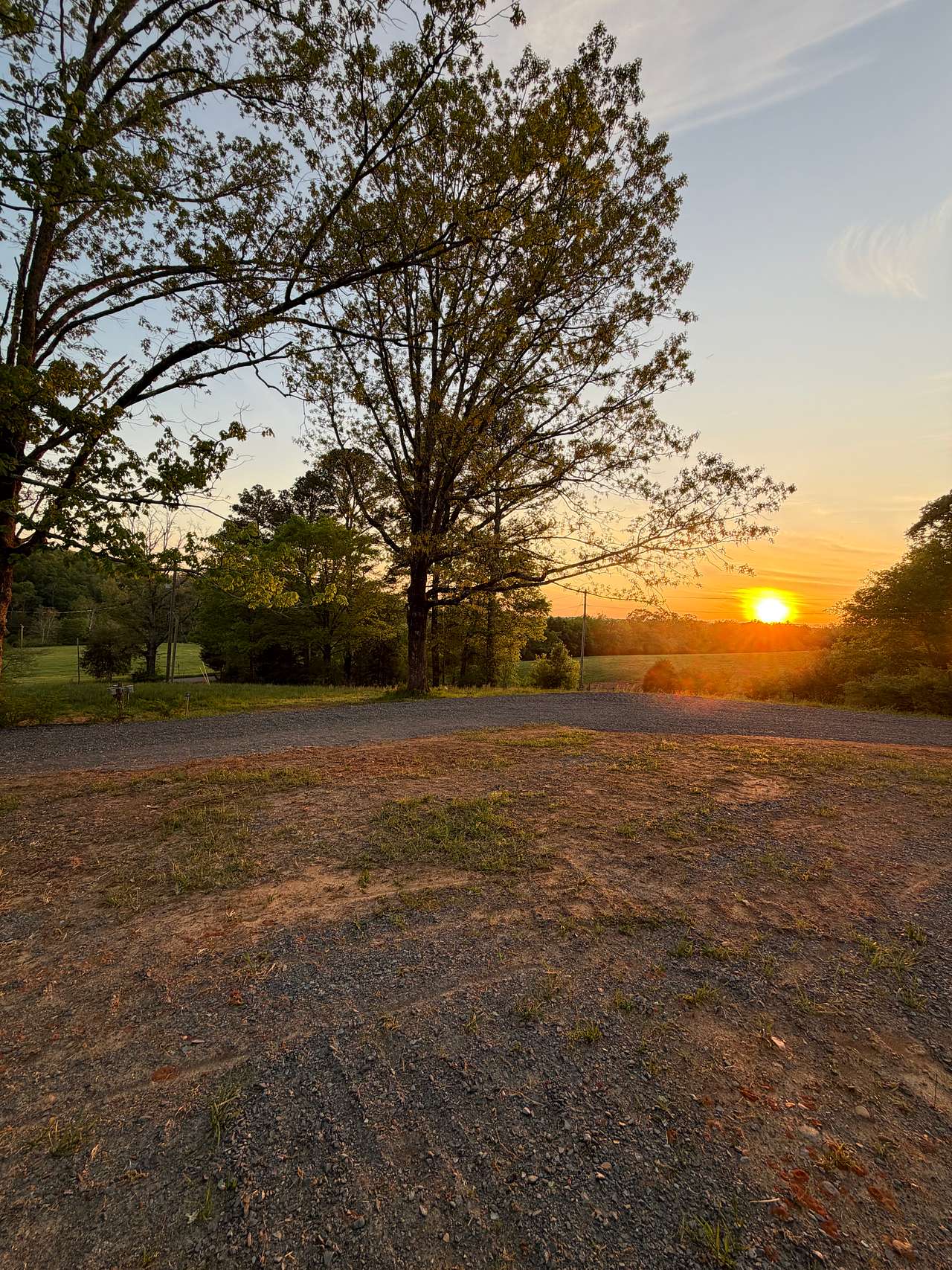 Camp Birchwood