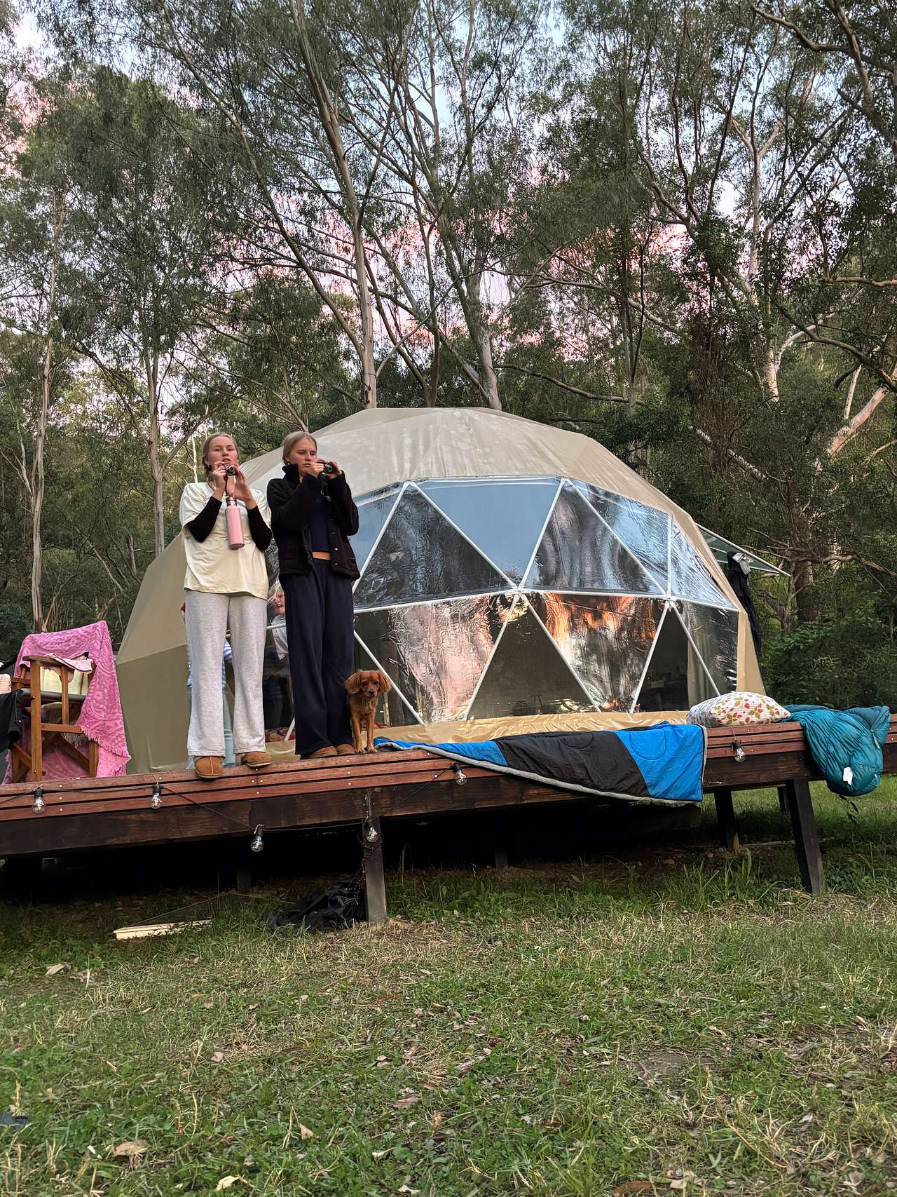 Glamping Around An Ancient Tree