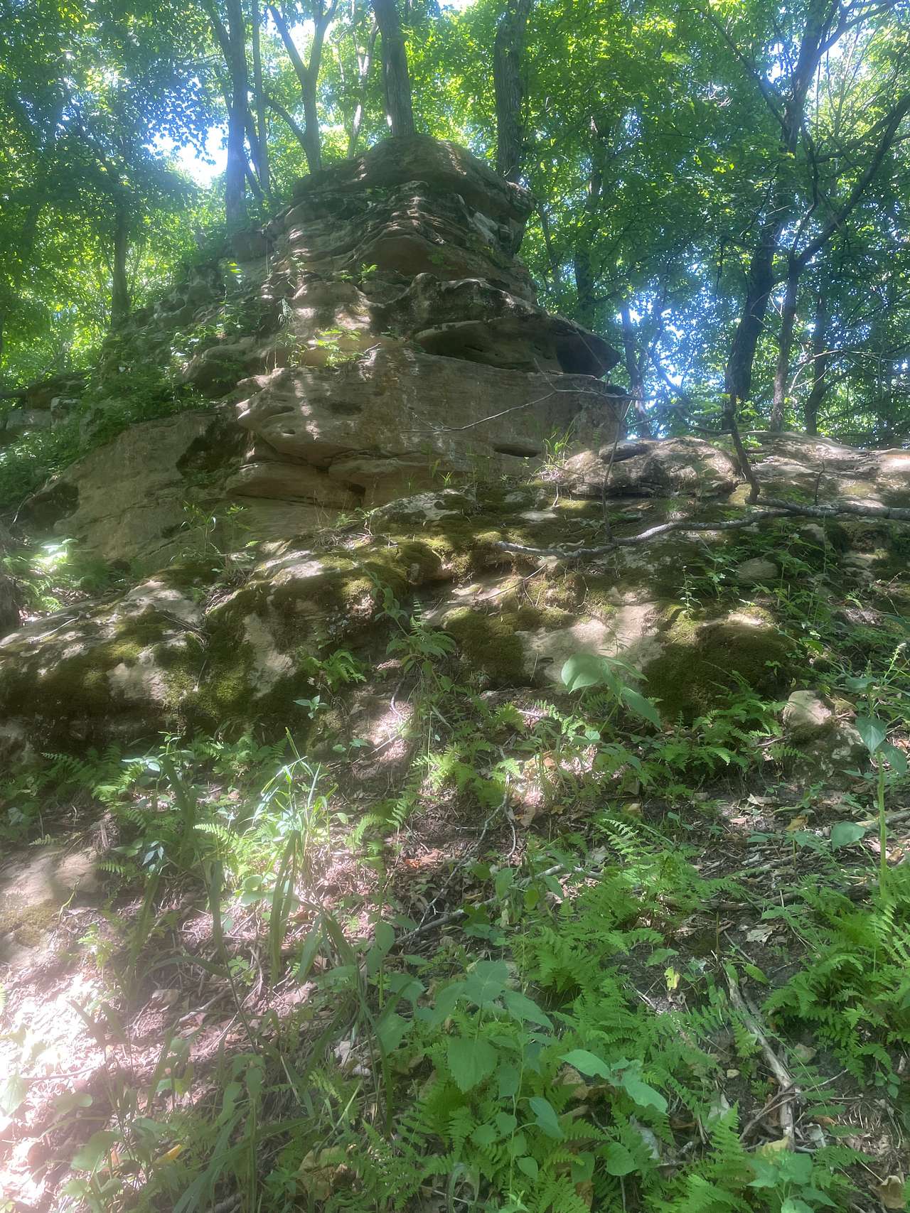 Picture of the site