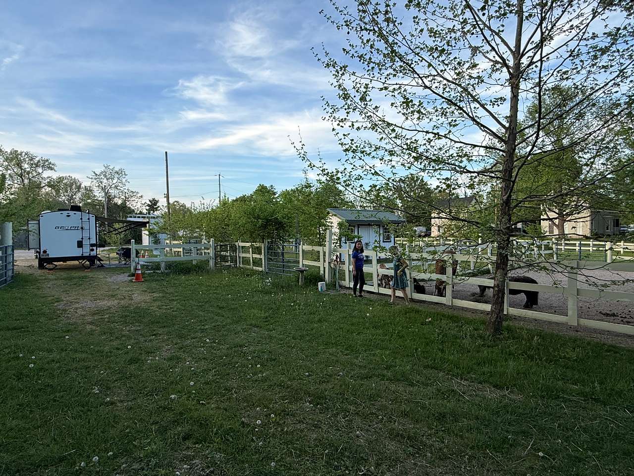 Camp site