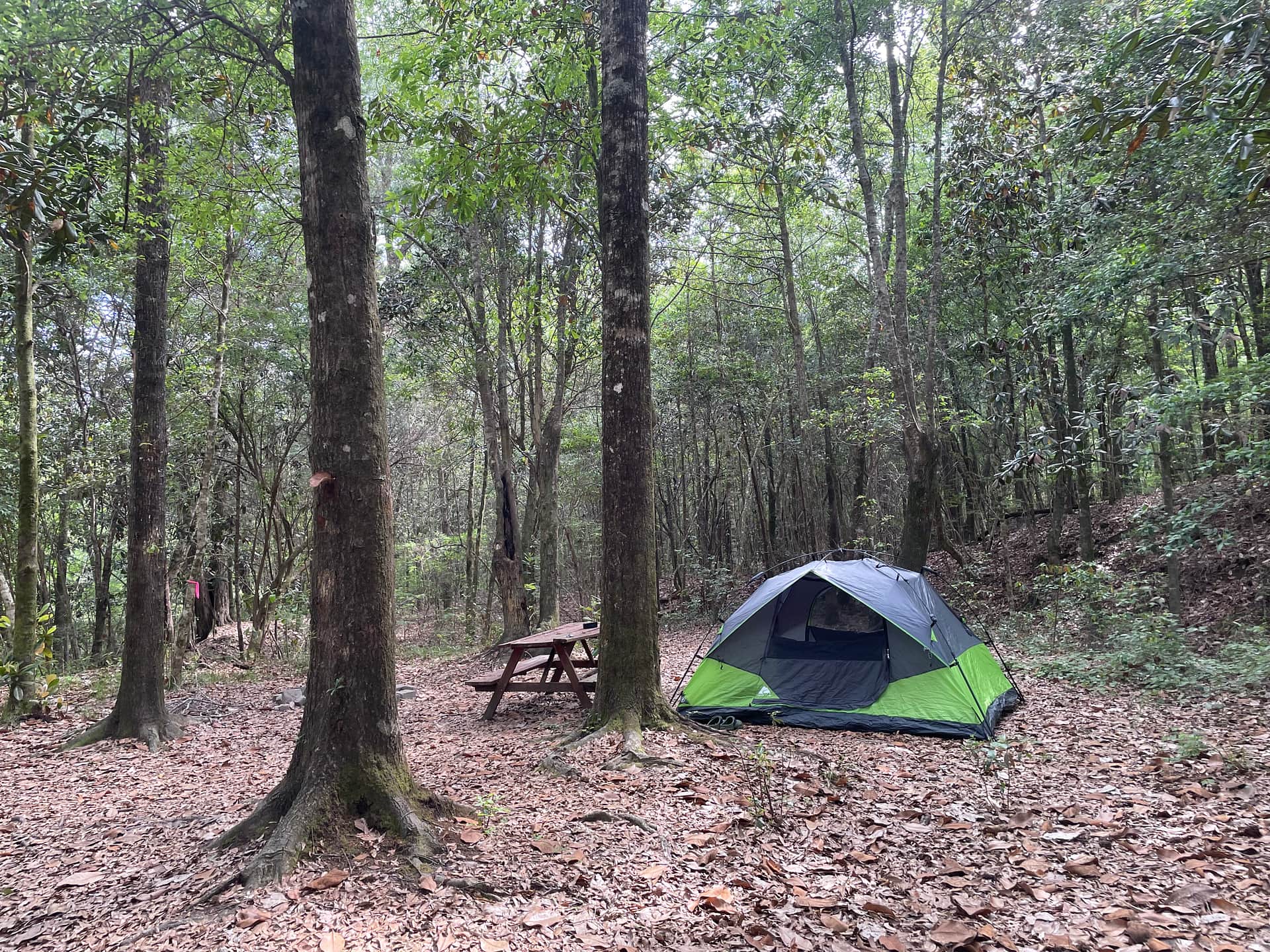 site #4