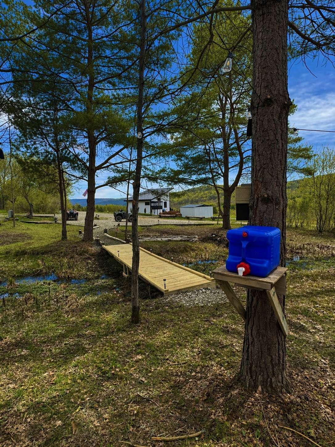 Picture of the site