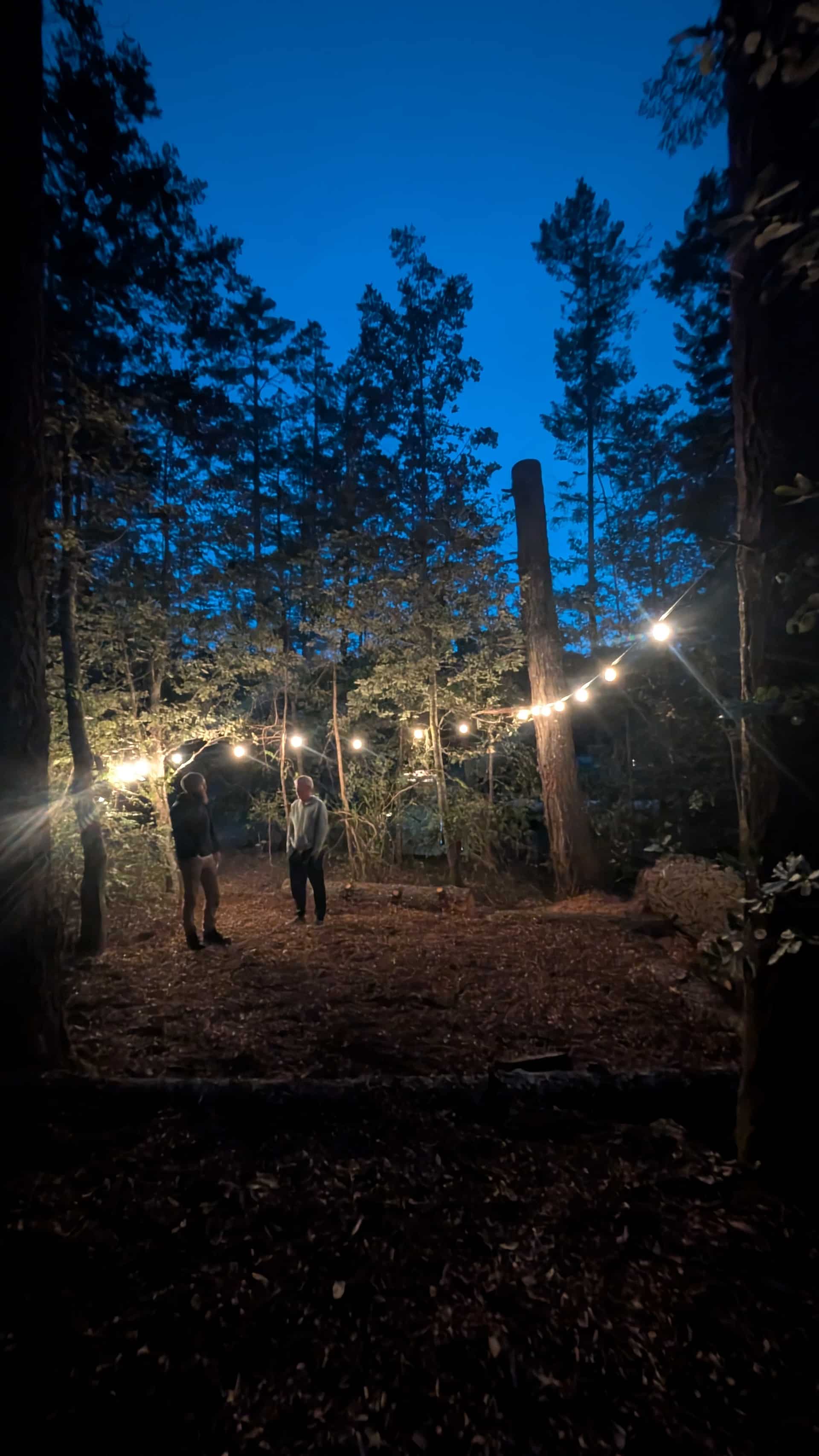 Larkspurs Hollow - Camp & Garden