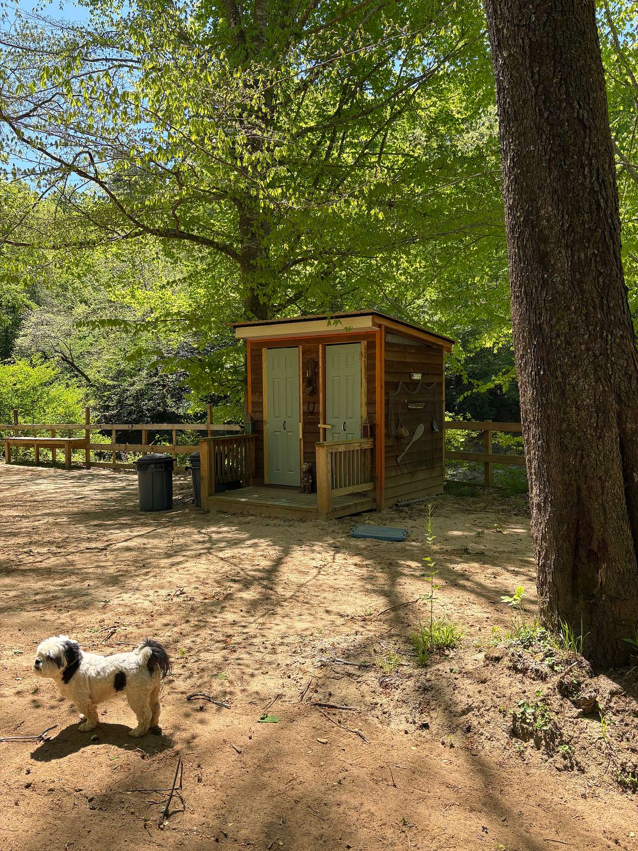 Picture of the site
