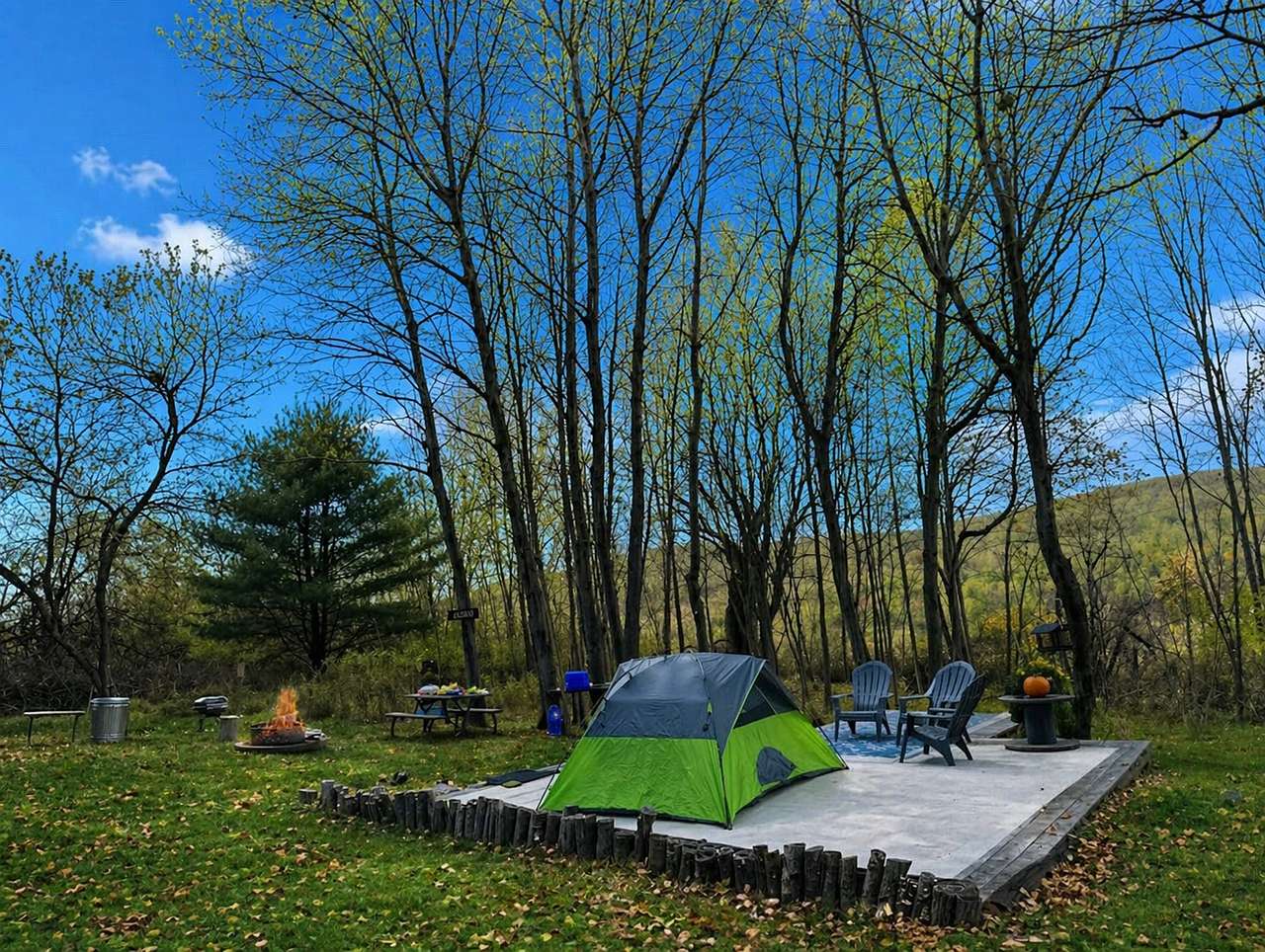 Picture of the site