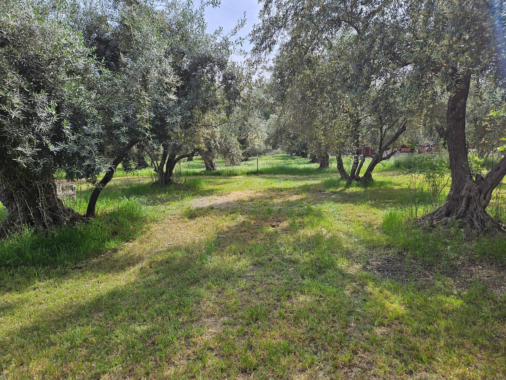 Blue Moon Orchard Retreat