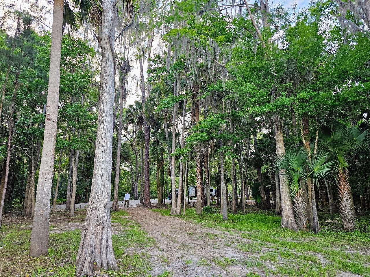View from lake to camp