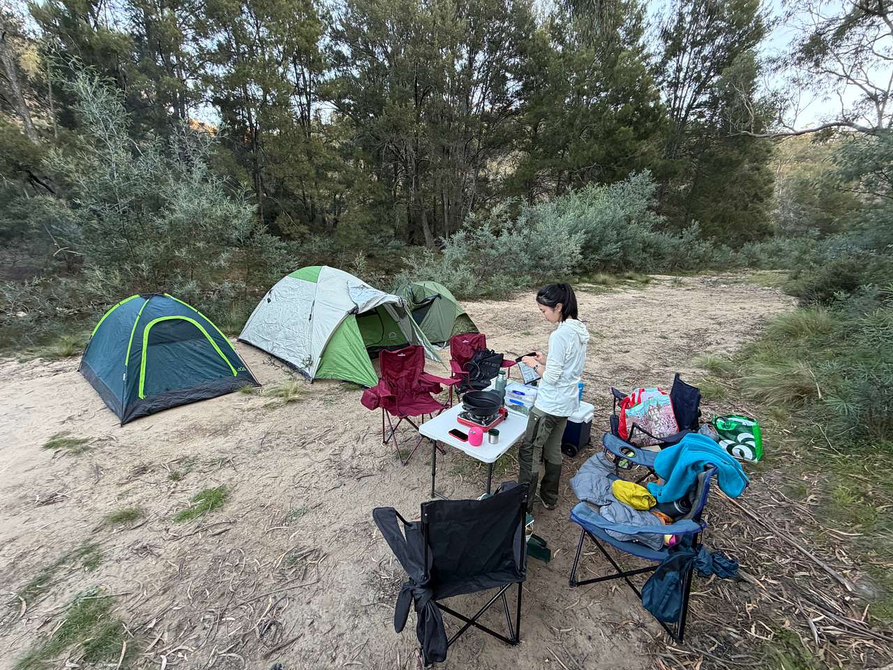 Picture of the site