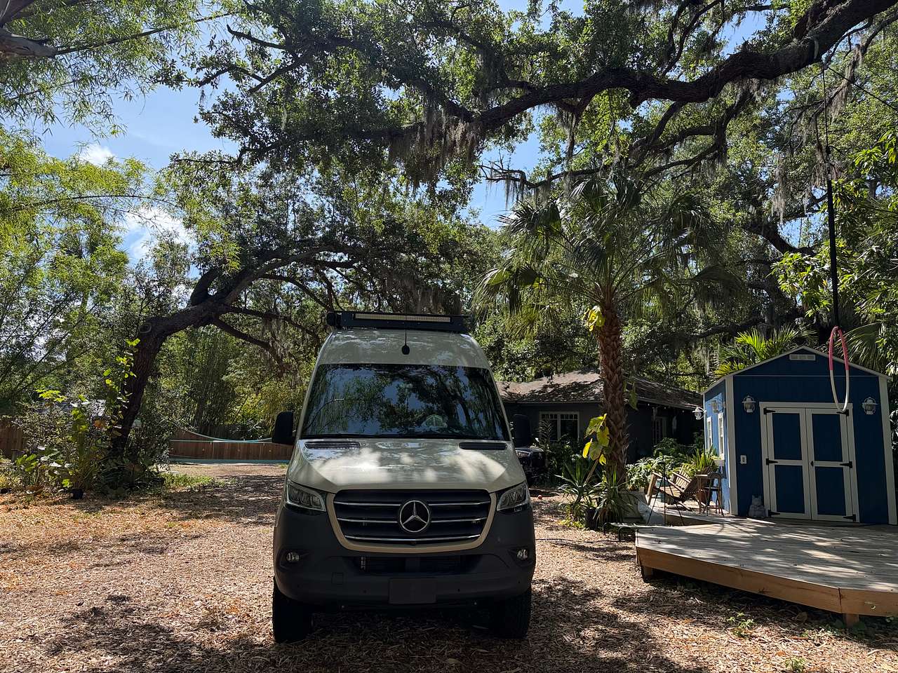 Bayou Bliss