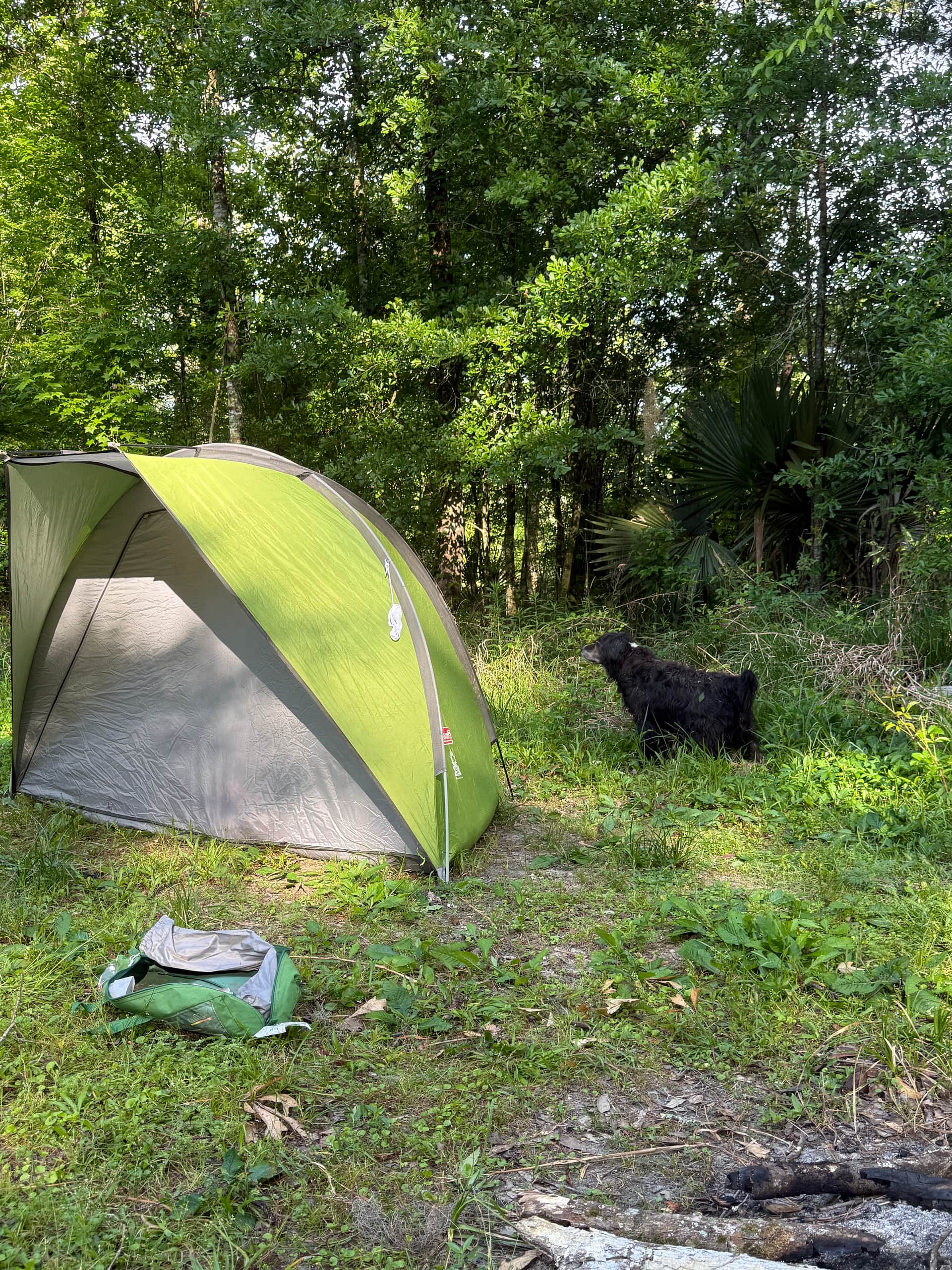PYRAprotocol.com  Camping the Amite