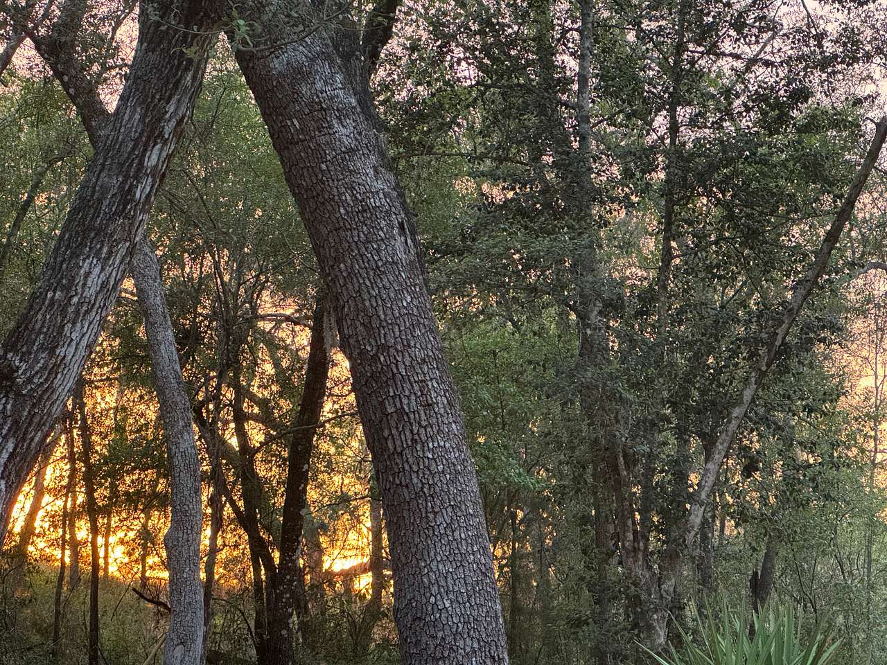 The Hatch Bend Hideaway RV Place