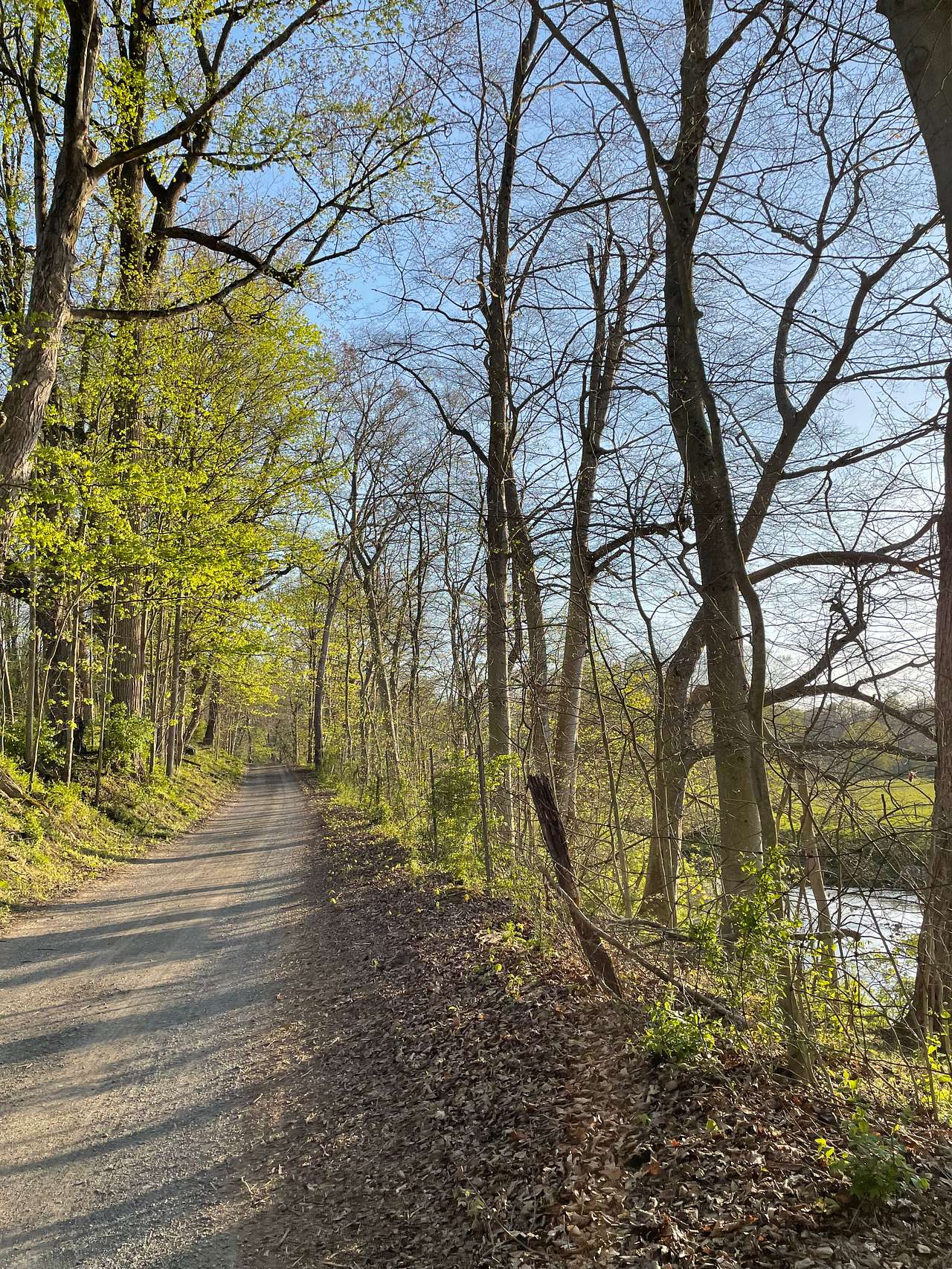 our short walk from parking spot to the chapel.