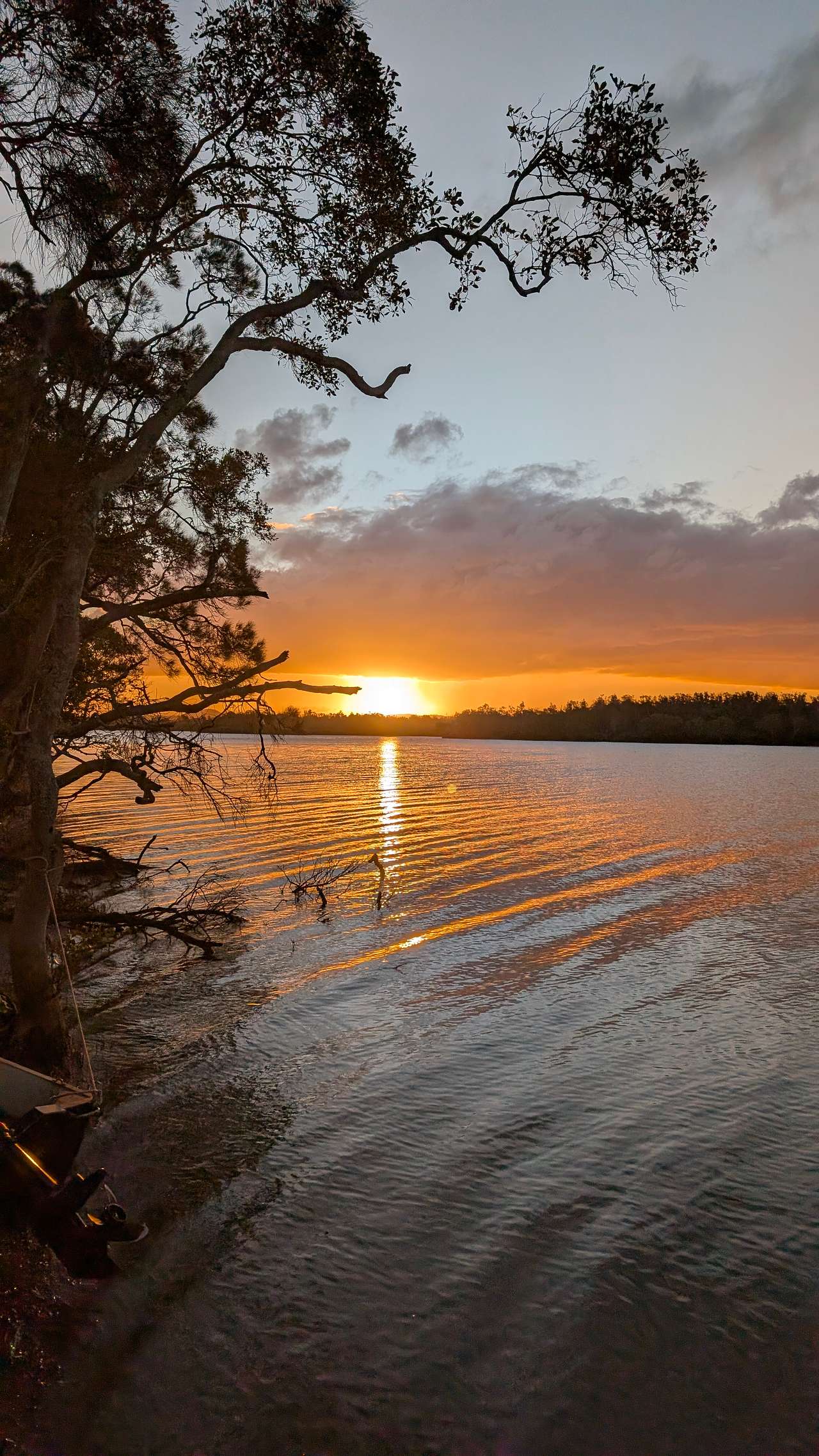 Gorgeous sunsets