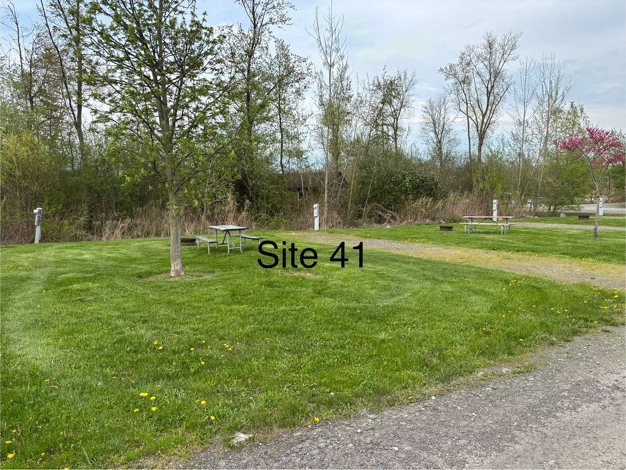 Picture of the site