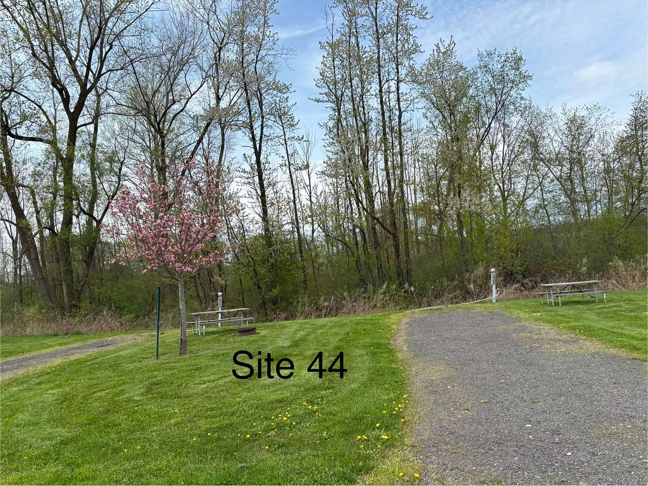 Picture of the site