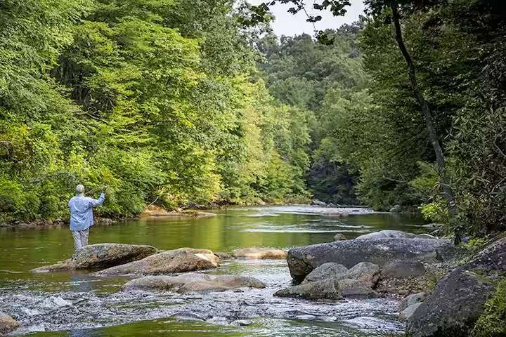 South Toe River Sites- Simple Camp