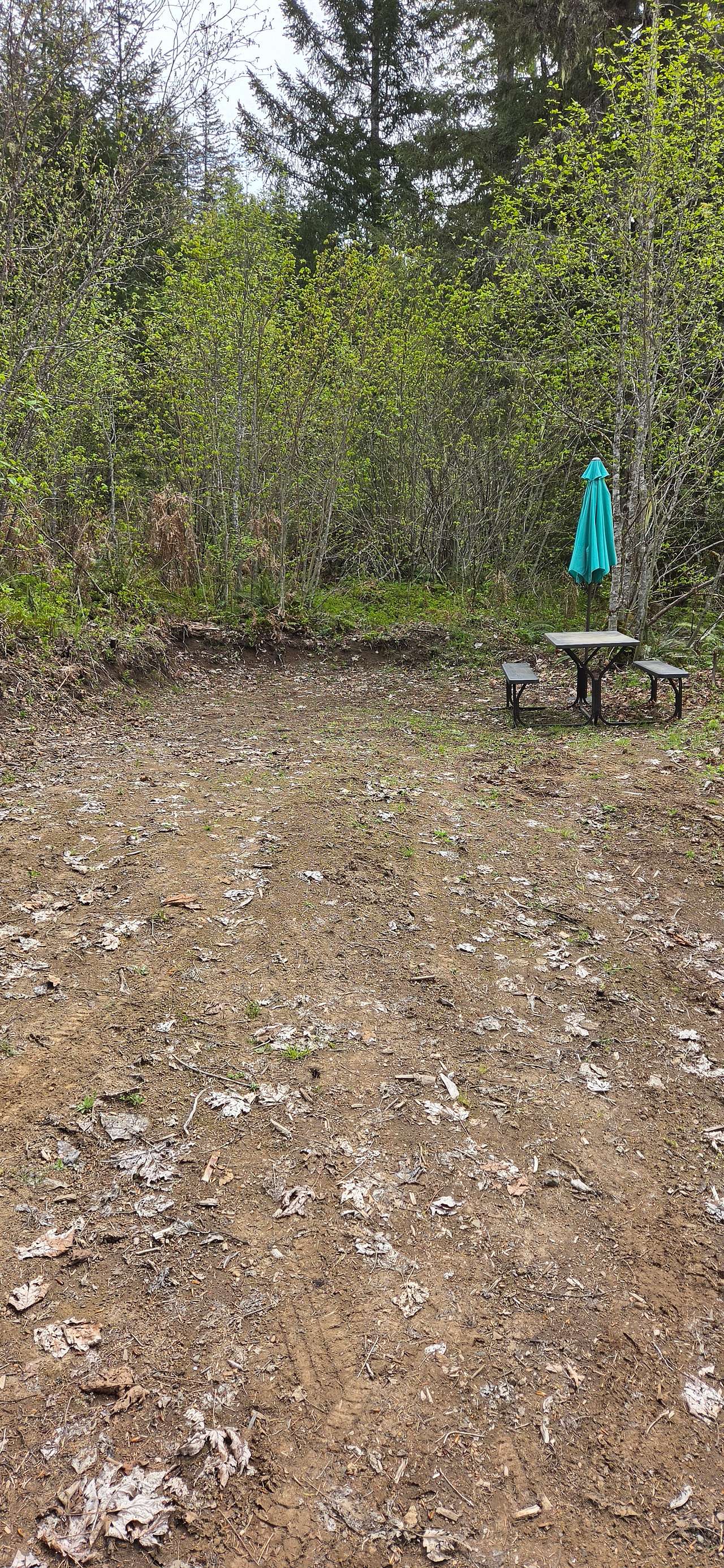 Updated photo of Site 5 for the 2026 season. This site is perfect for a camper van, small trailer or for setting up your own tent.