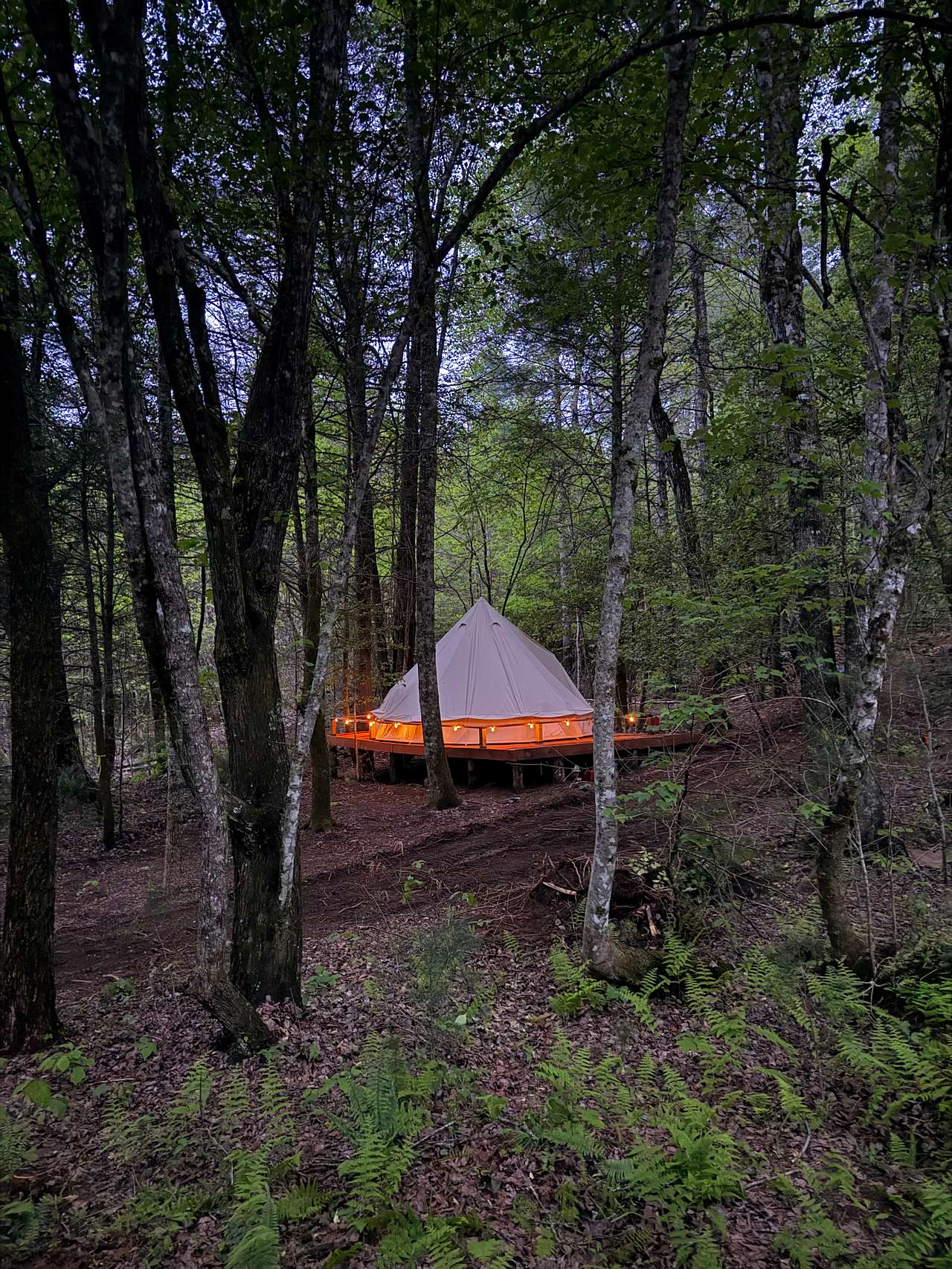 Salty Pines Hideaway