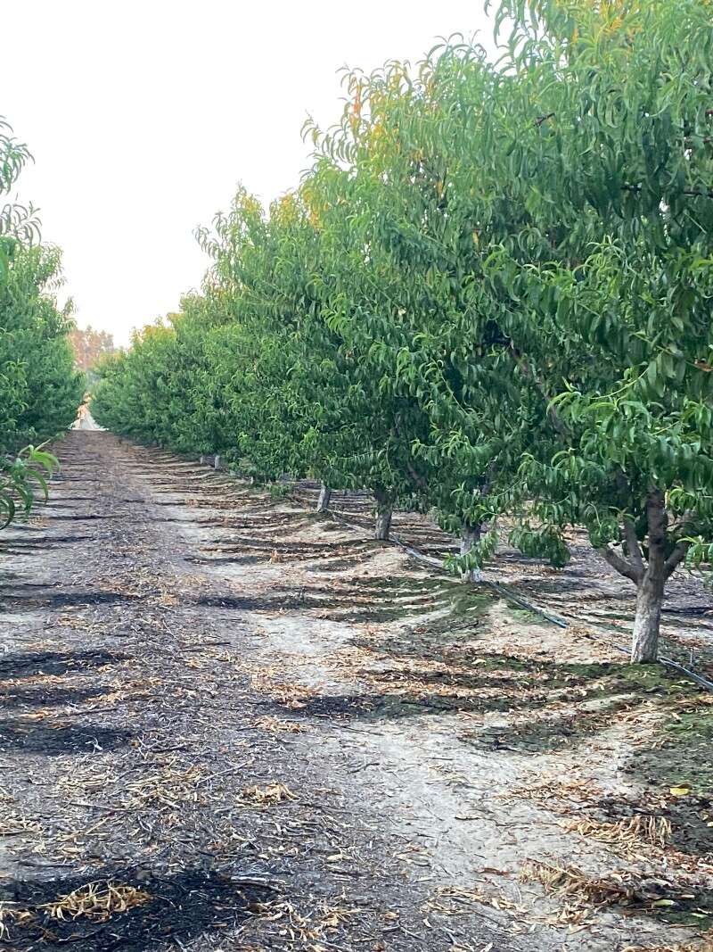 Happy Walk Farm